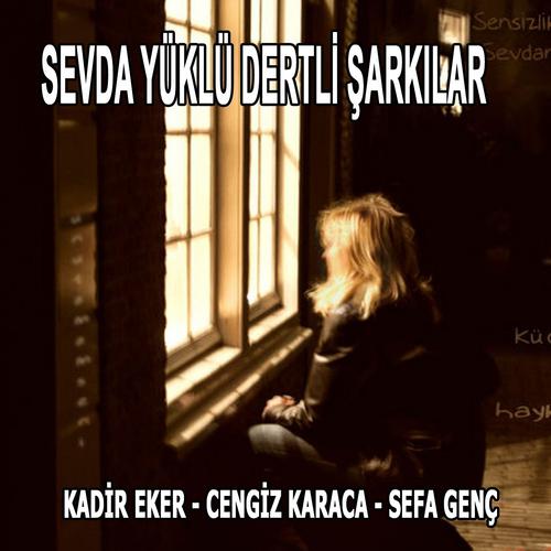 Постер альбома Sevda Yüklü Dertli Şarkılar