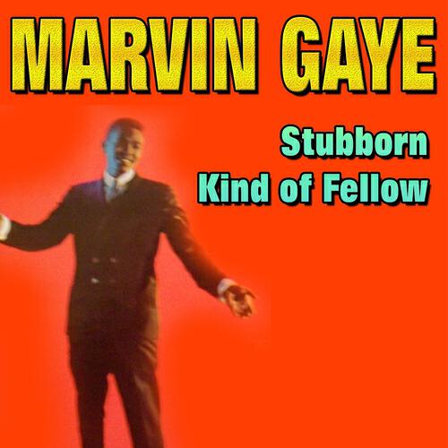 Marvin Gaye - Taking My Time