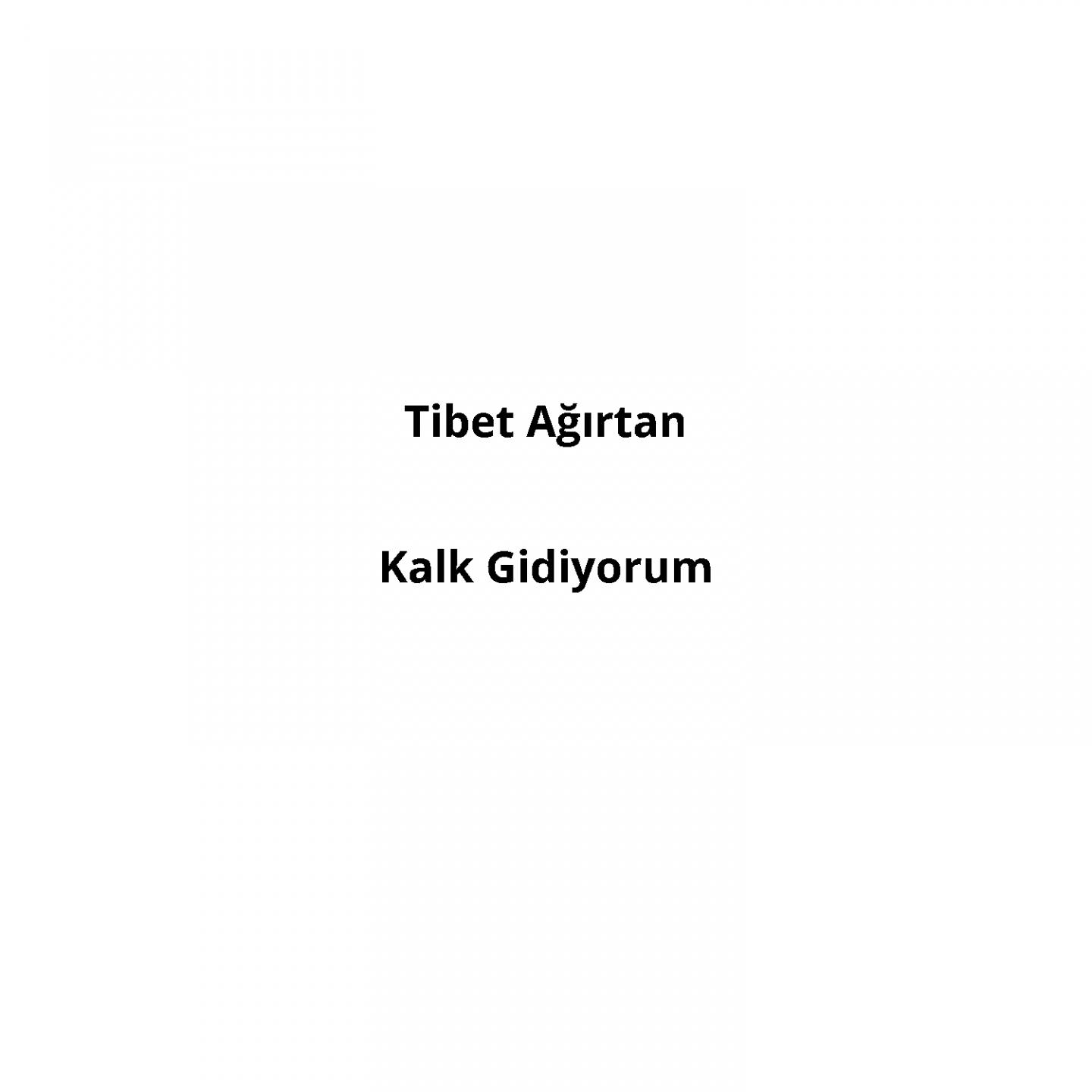 Постер альбома Kalk Gidiyorum