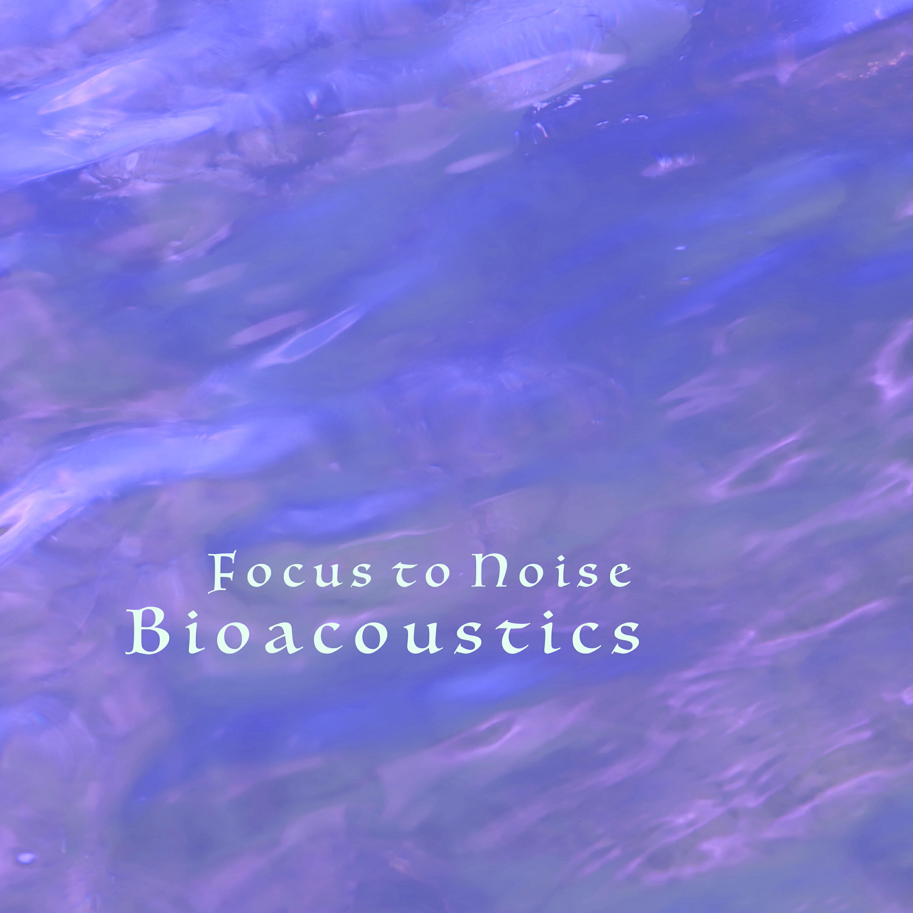 Bioacoustics - Soothing Noise