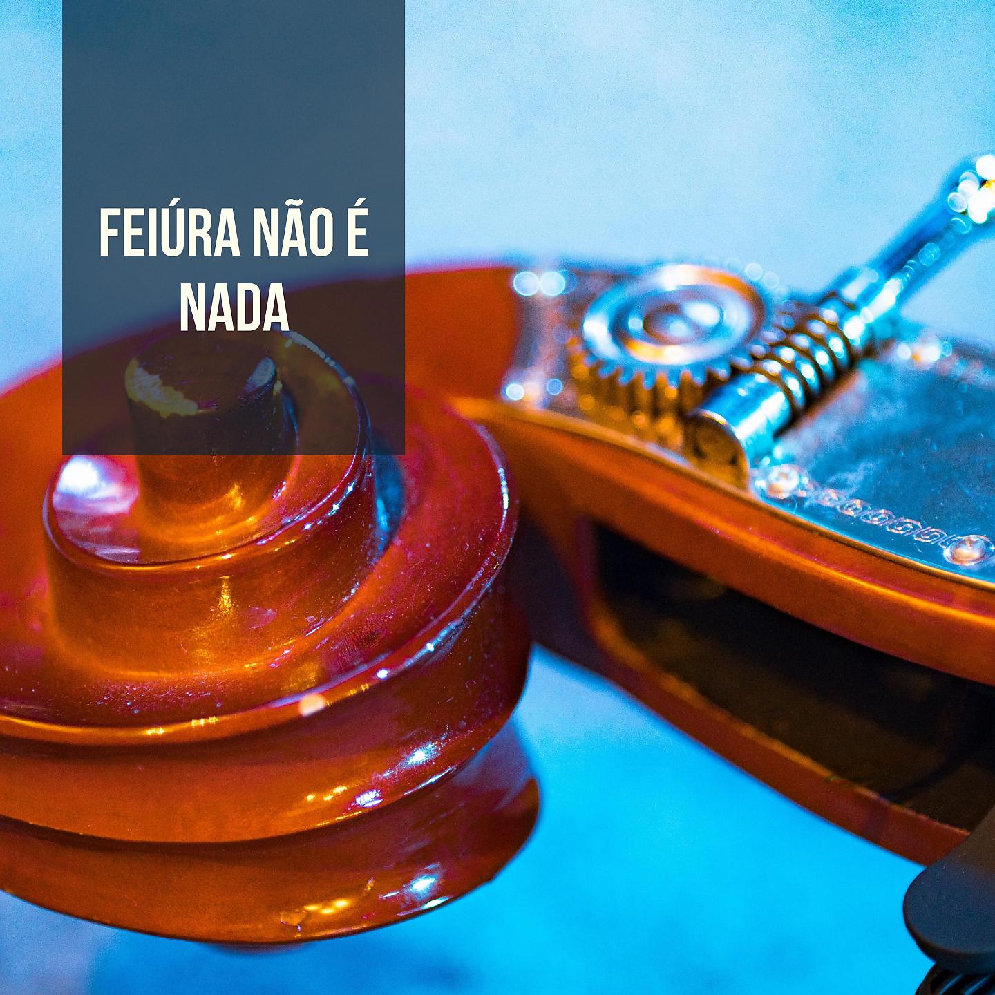 Постер альбома Feiúra Não É Nada