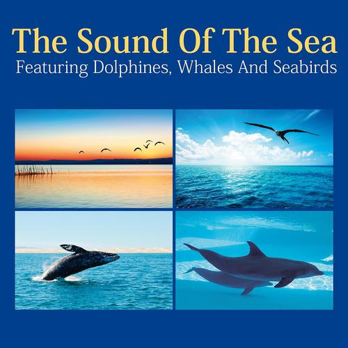 Постер альбома The Sound of the Sea - Featuring Dolphines, Whales and Seabirds