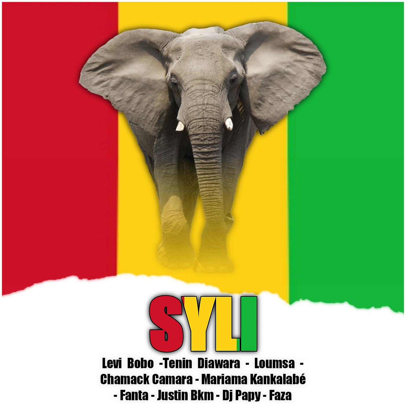 Постер альбома Syli