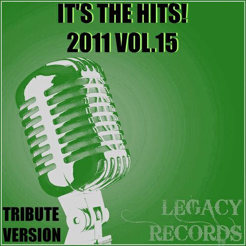 Постер альбома It's the Hits 2011, Vol. 15