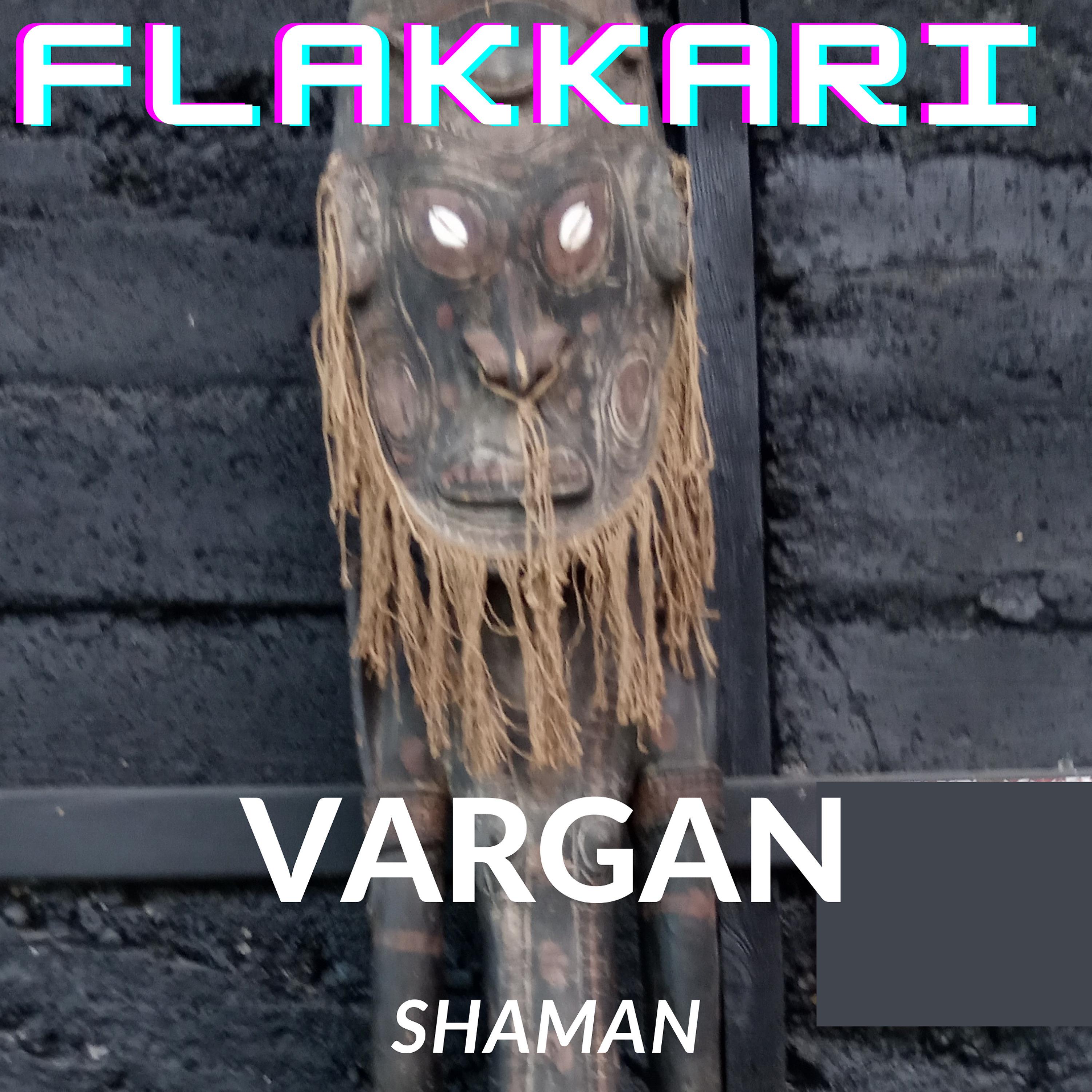Постер альбома Vargan Shaman