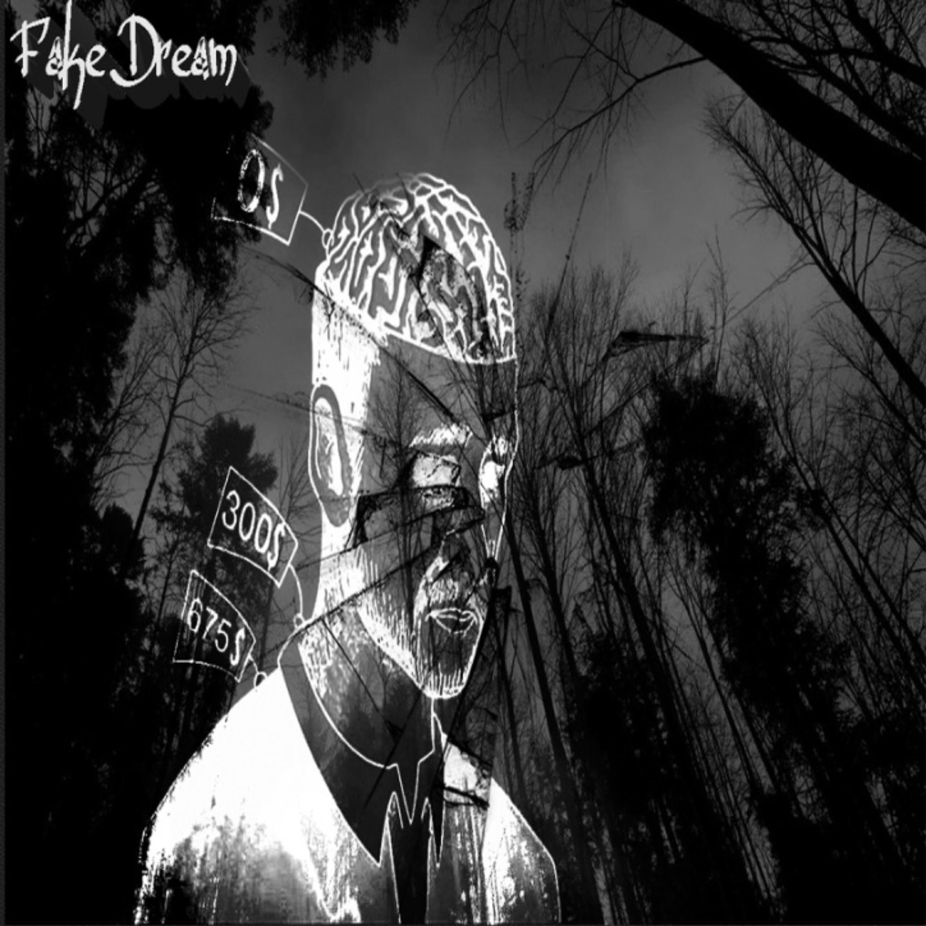 Seiya - Fake Dream