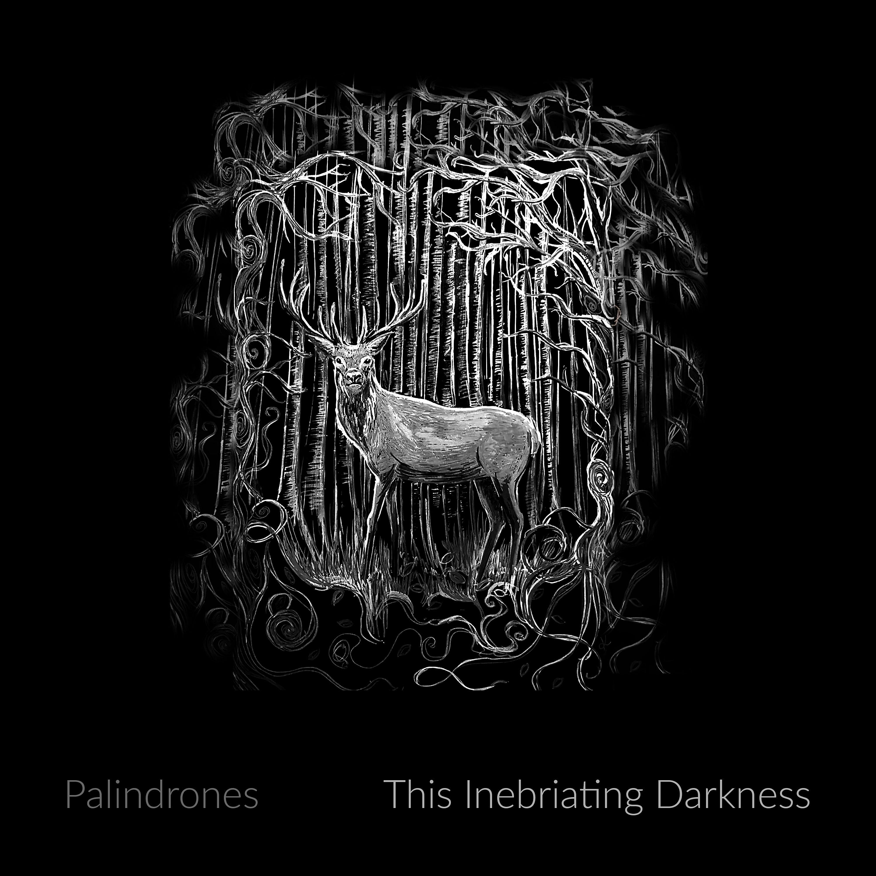 Постер альбома This Inebriating Darkness