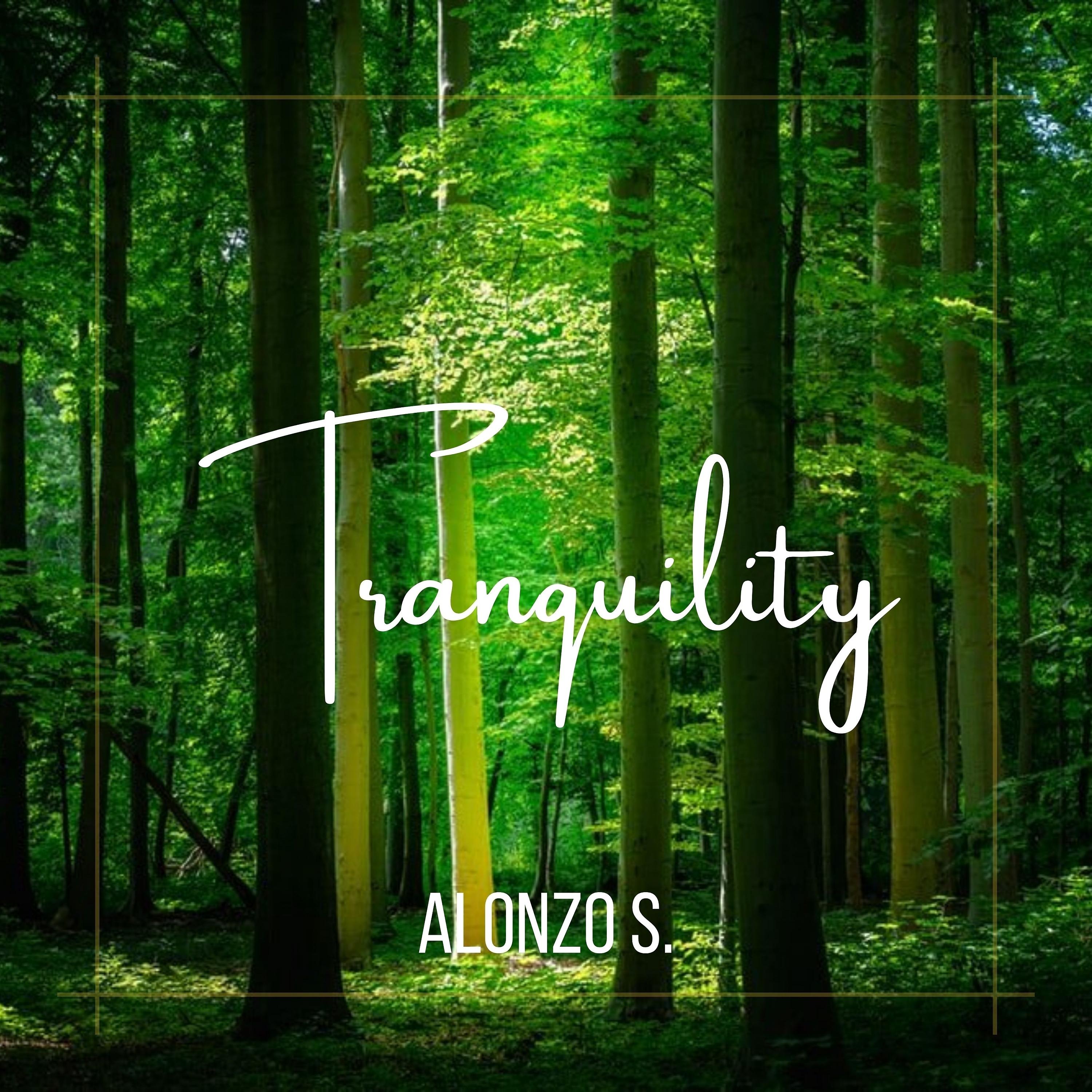Постер альбома Tranquility