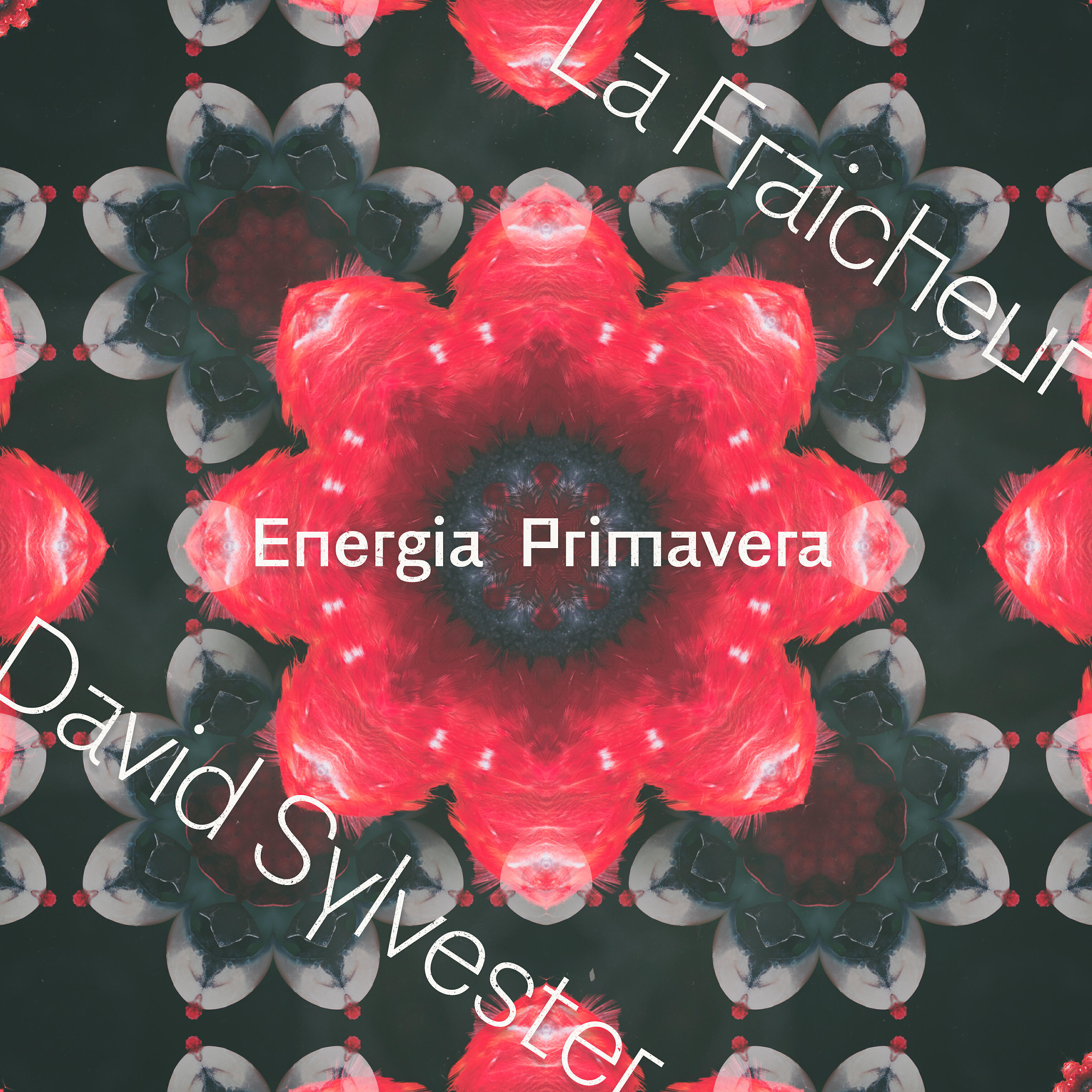 La Fraicheur - Energia Primavera (DJ Screendoor & Jason Bay Deconstructed Dub Remix)
