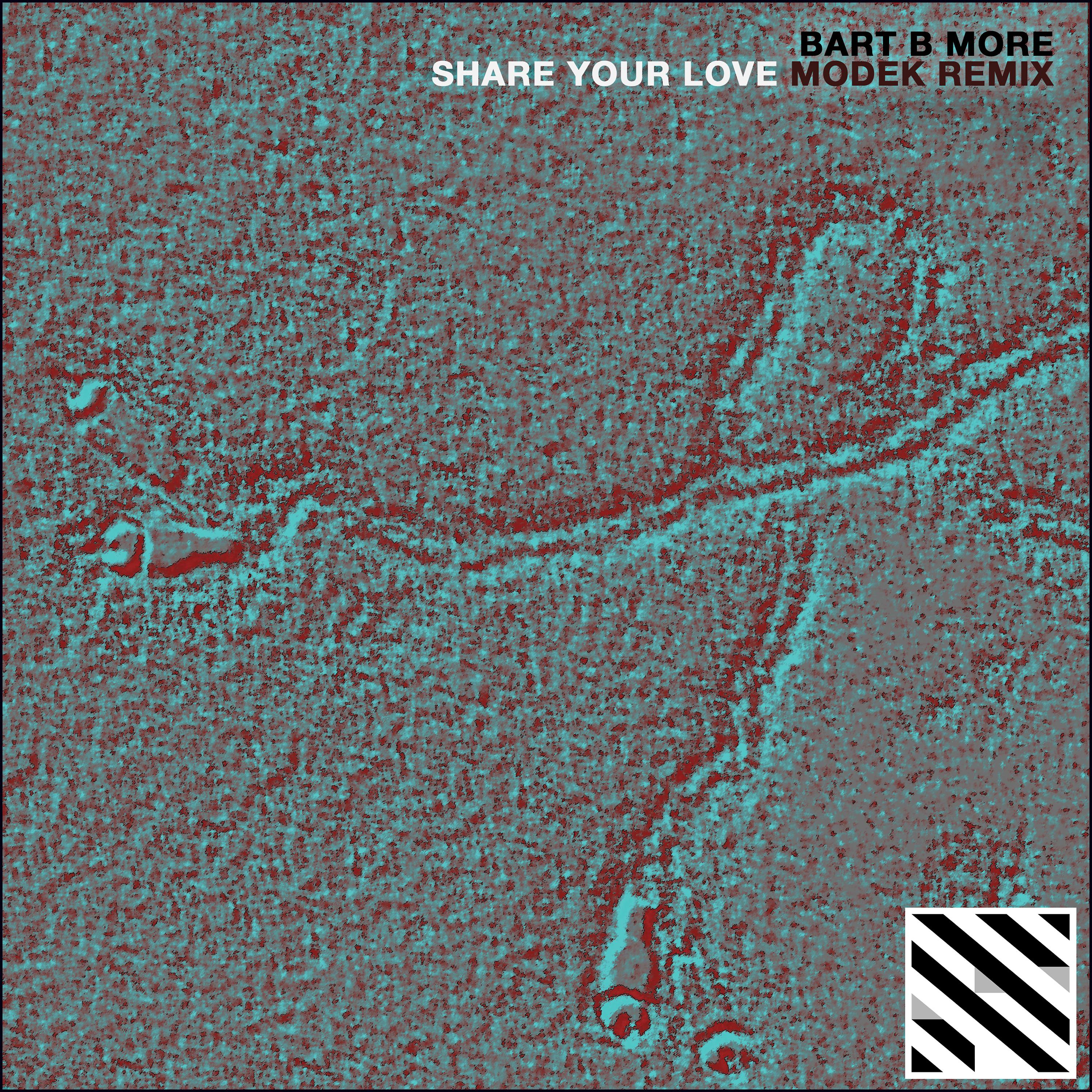 Постер альбома Share Your Love (Modek Remix) - Single
