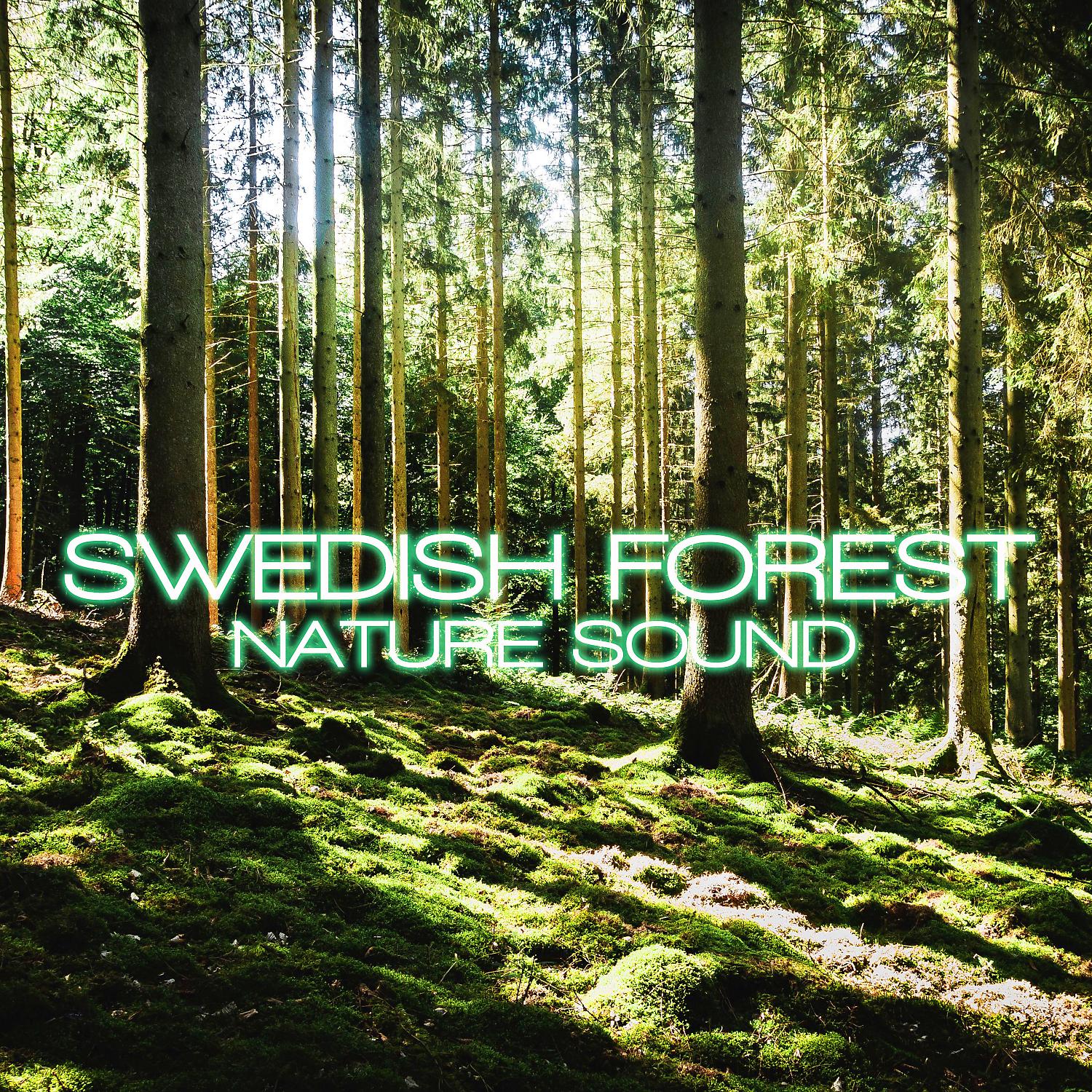 Постер альбома Swedish Forest Nature Sound (feat. Sounds Nature, Soothing Nature Sounds, Discovery Soundscapes, Nature Soundscapes & White Noise Soundscapes)