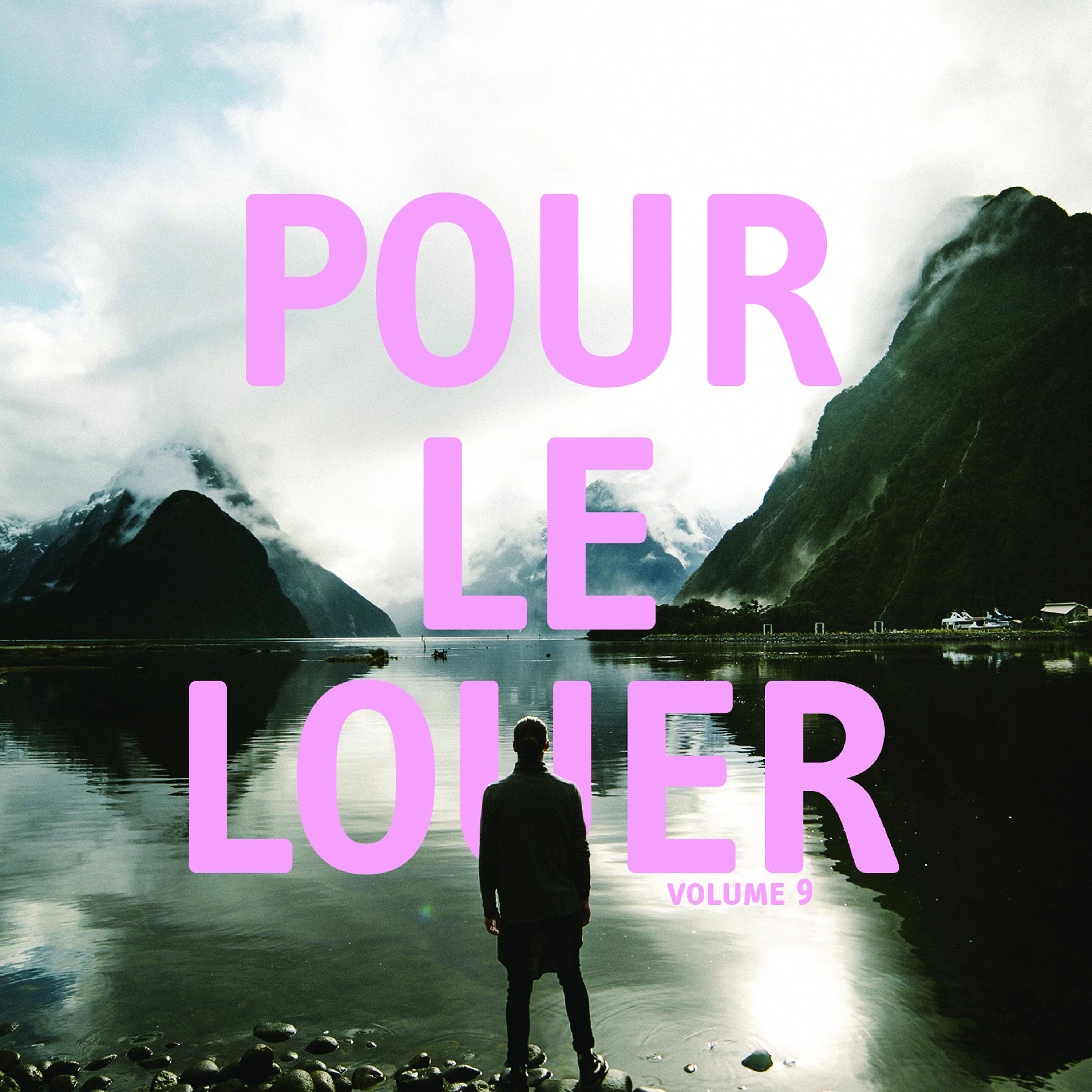 Постер альбома Pour le louer, Vol. 9
