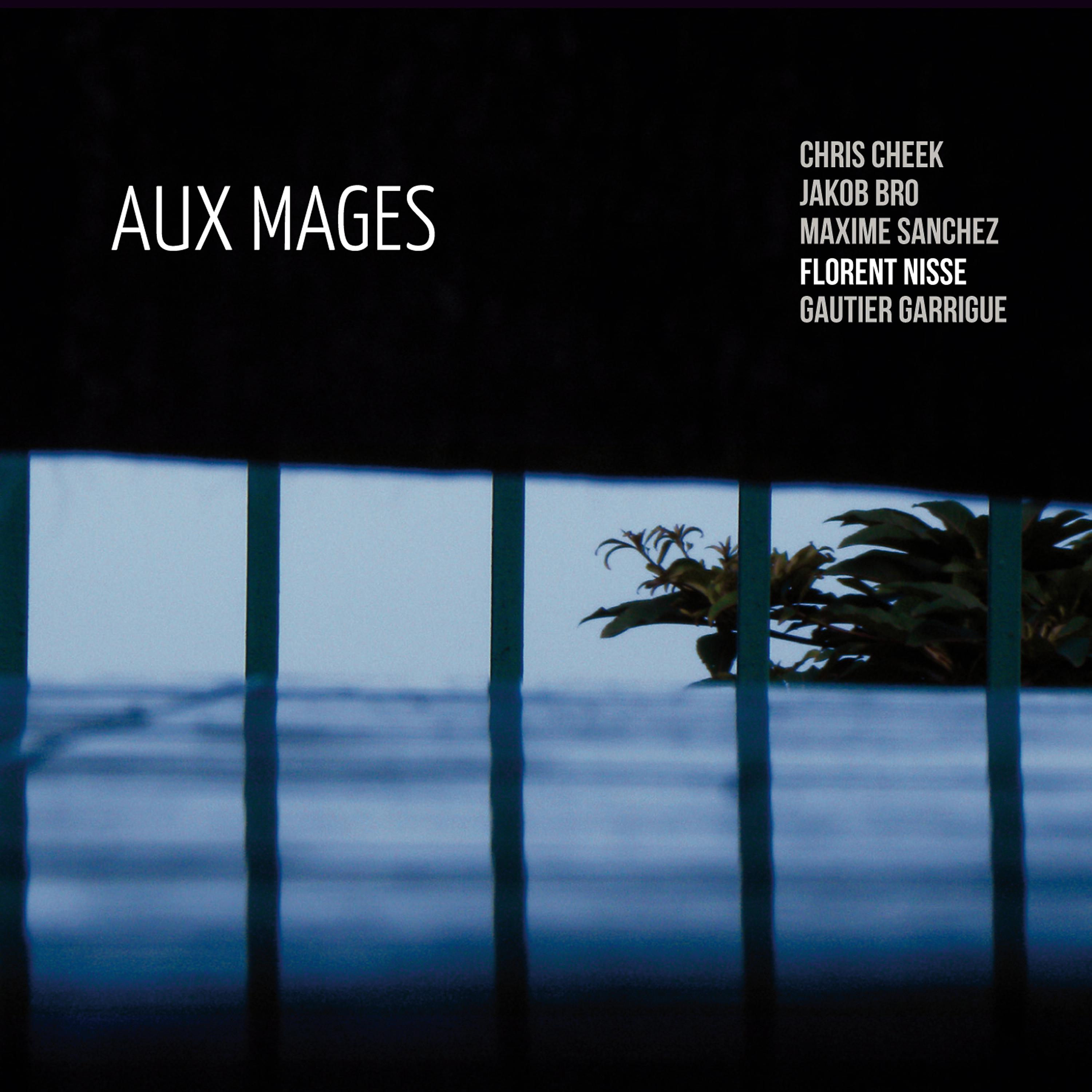 Постер альбома Aux mages