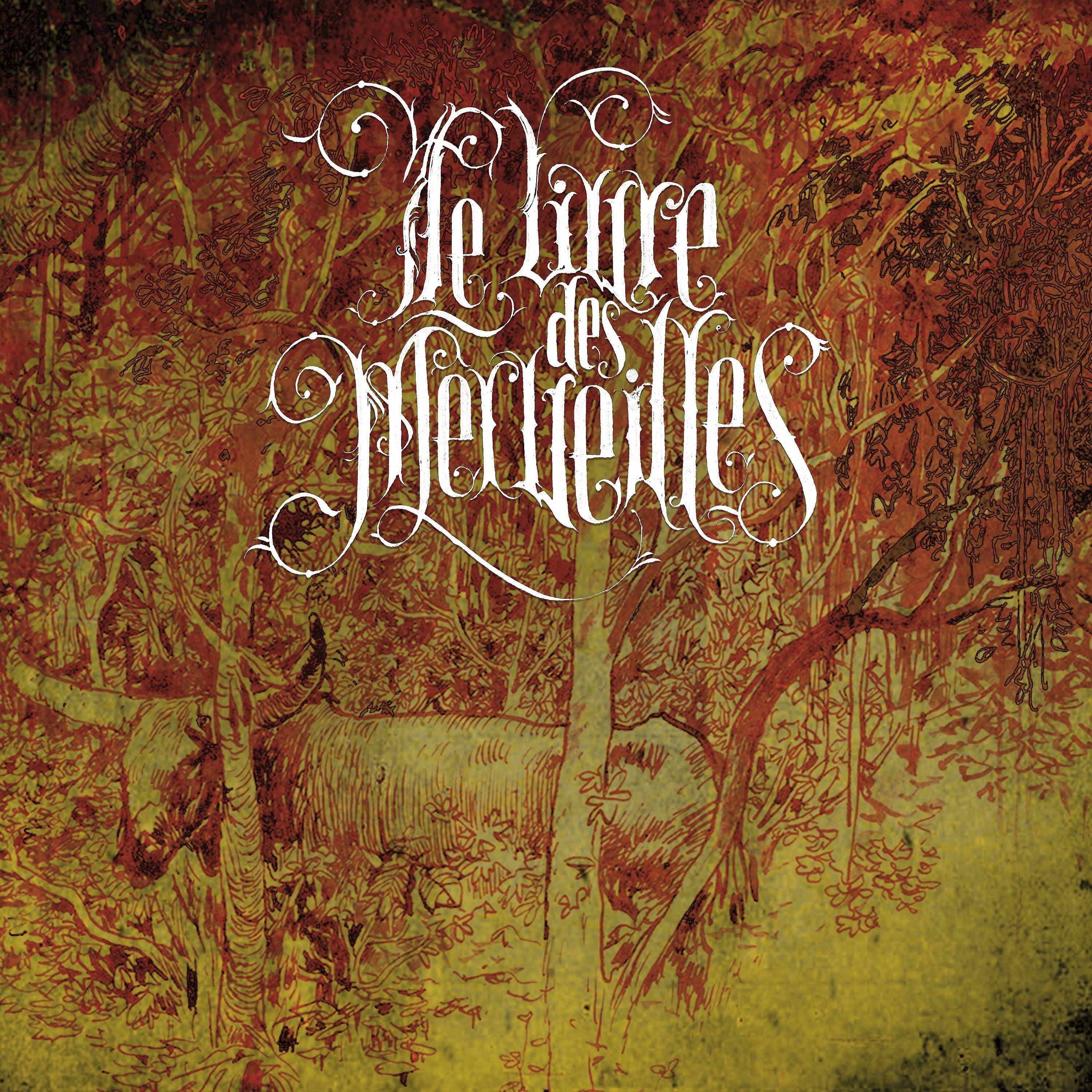 Постер альбома Le livre des merveilles