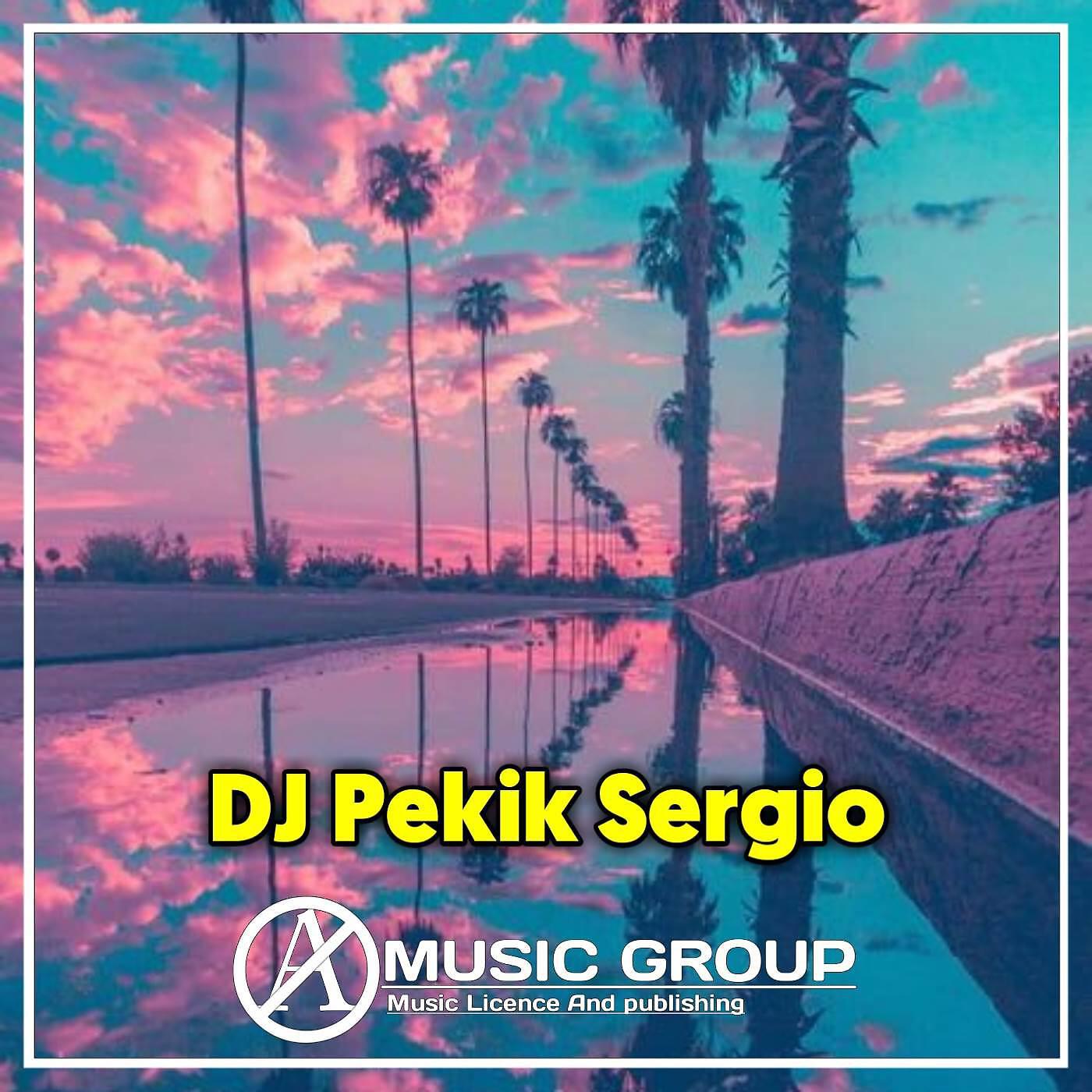 DJ Pekik Sergio - DJ ENAK DONG VIRAL TIK TOK