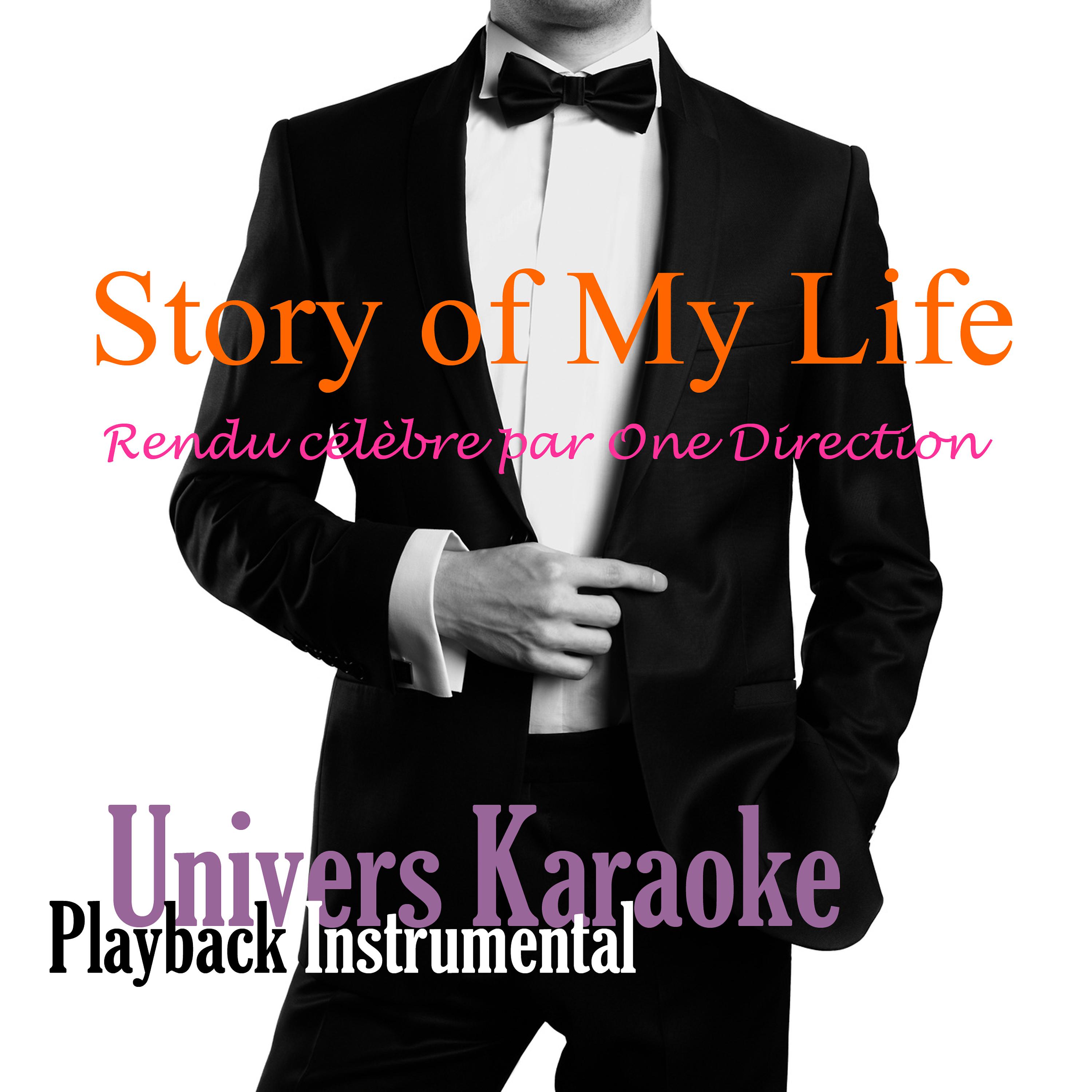Постер альбома Story of My Life (Rendu célèbre par One Direction) [Version Karaoké] - Single