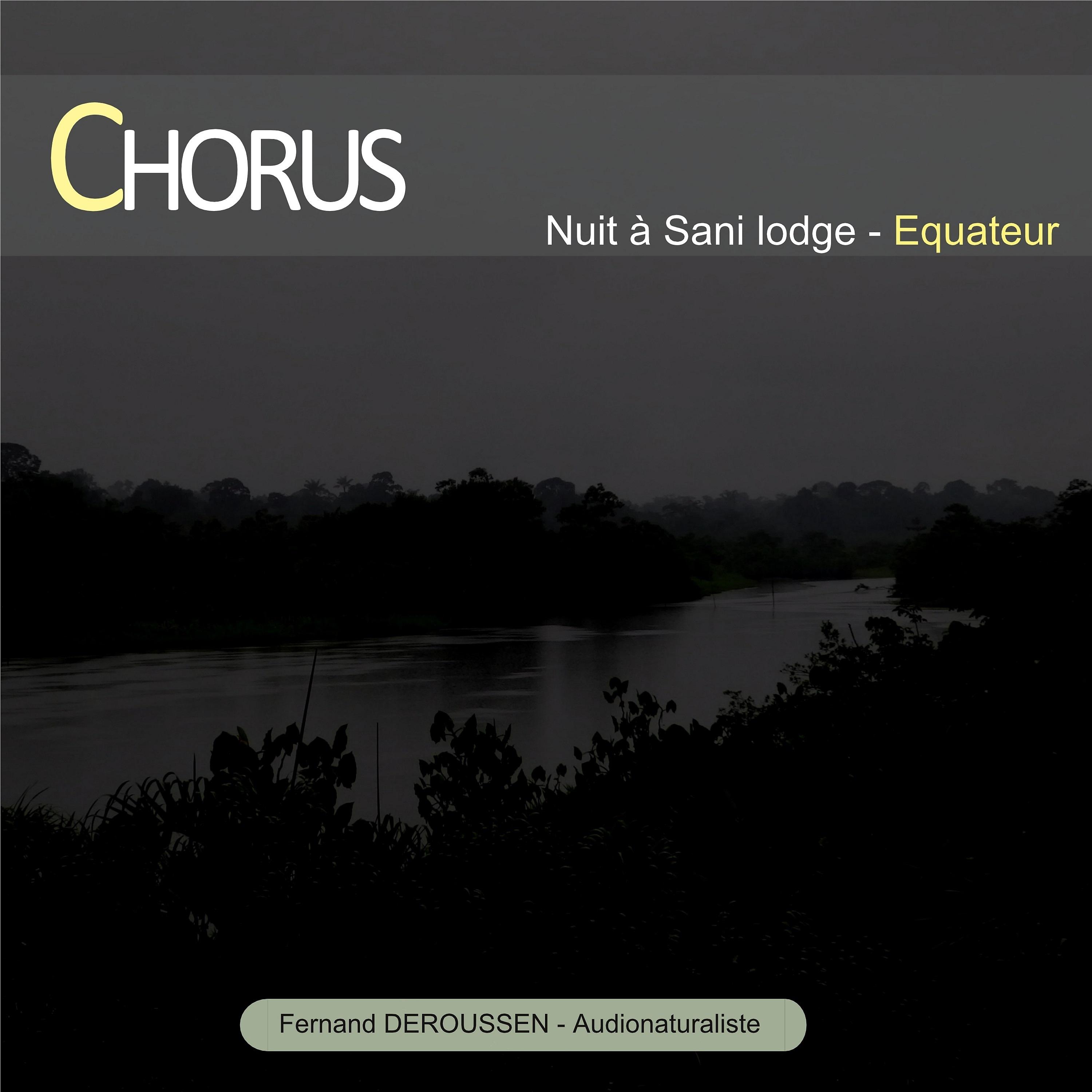 Постер альбома Chorus : Nuit à Sani Lodge (Equateur)