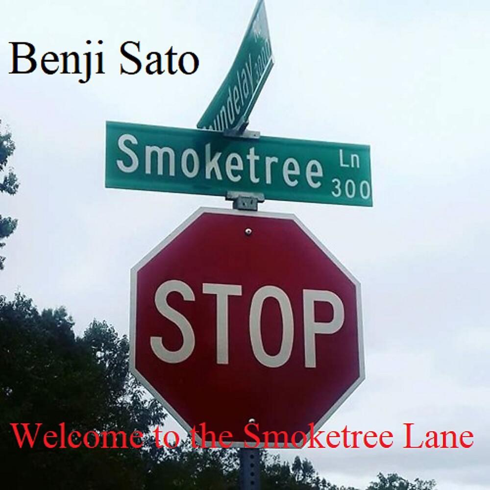 Постер альбома Welcome to the Smoketree Lane