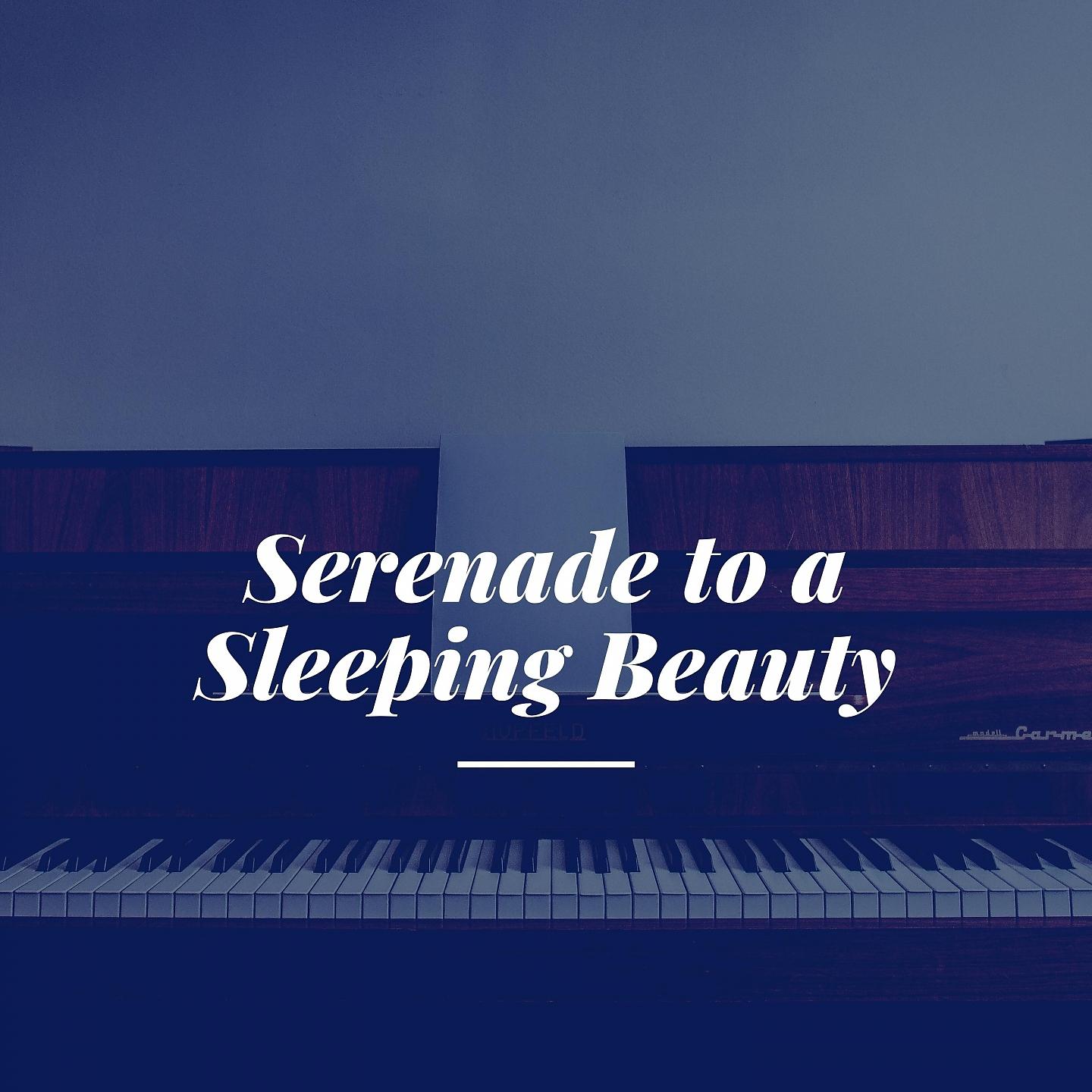 Постер альбома Serenade to a Sleeping Beauty