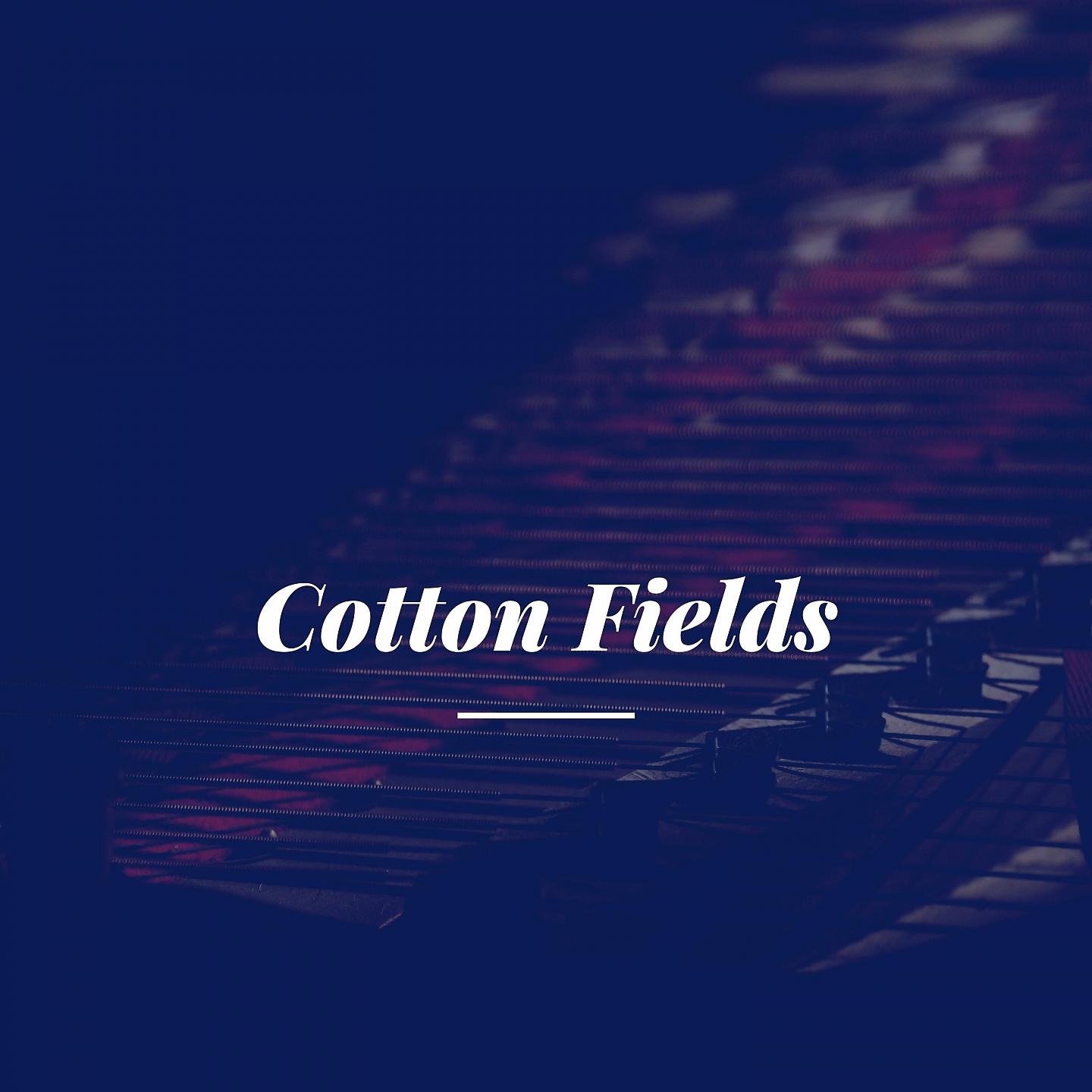 Постер альбома Cotton Fields