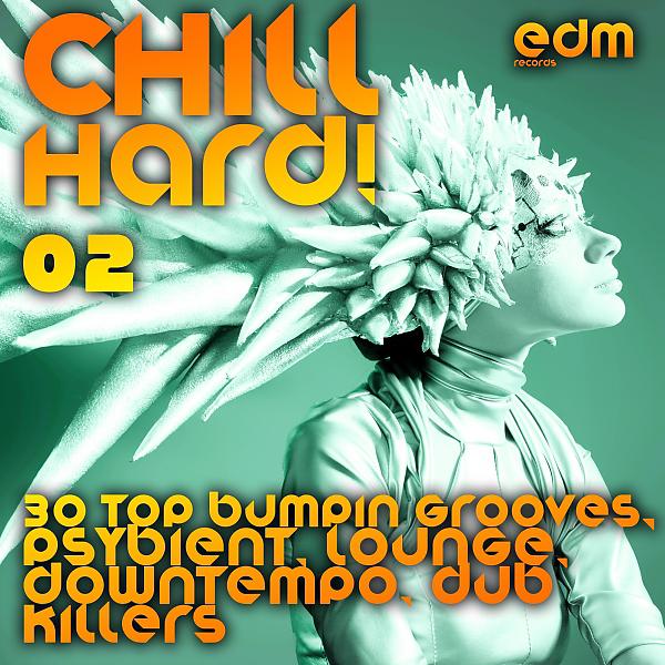 Постер альбома Chill Hard!, Vol. 2 (30 Top Bumpin Grooves, Psybient, Lounge, Downtempo, Dub Killers)