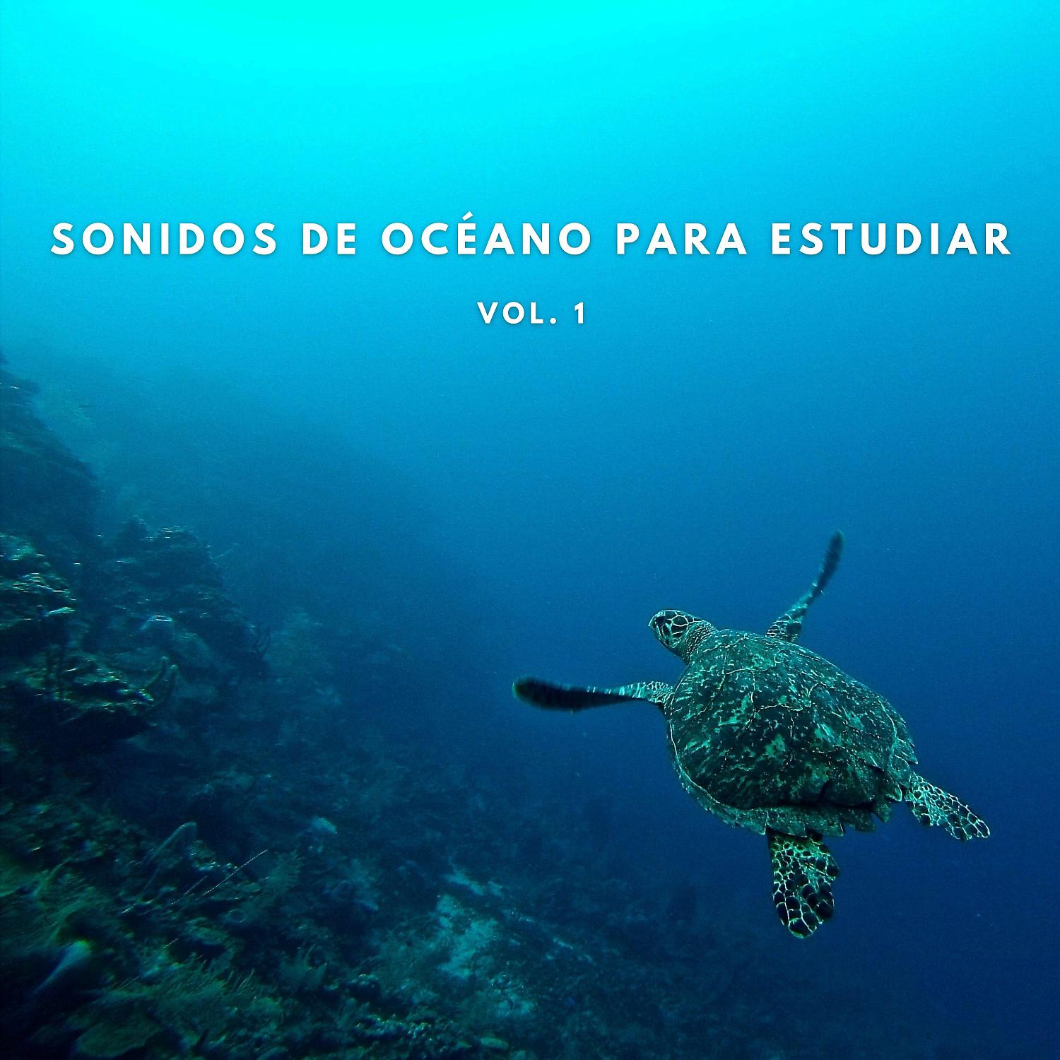 Постер альбома Sonidos De Océano Para Estudiar Vol. 1