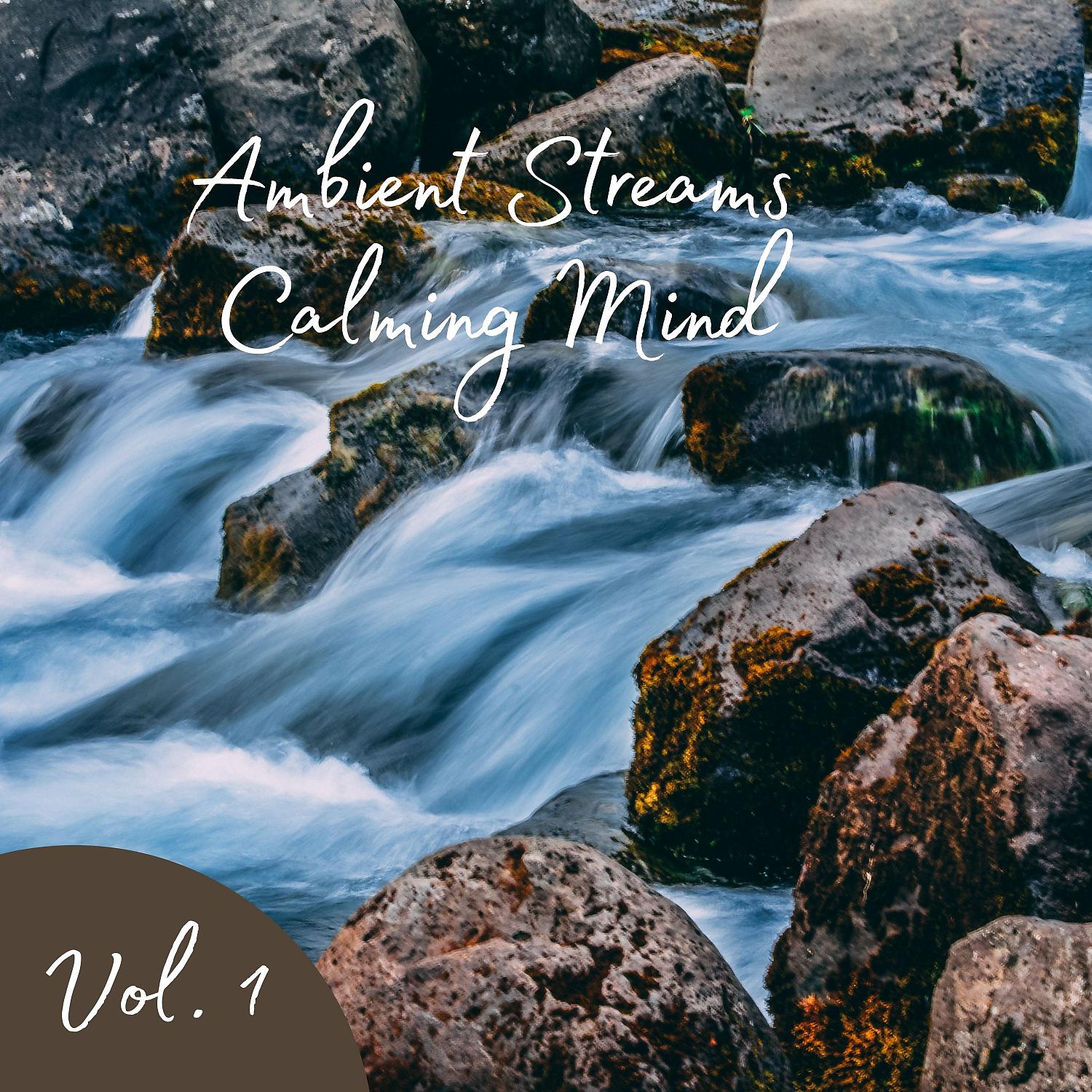 Постер альбома Ambient Streams Calming Mind Vol. 1