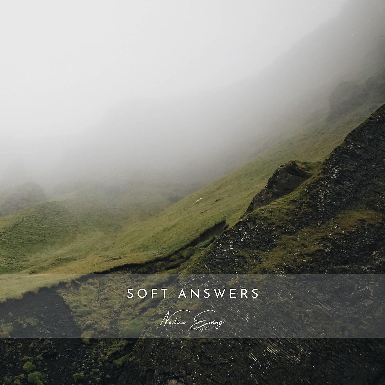 Постер альбома Soft Answers