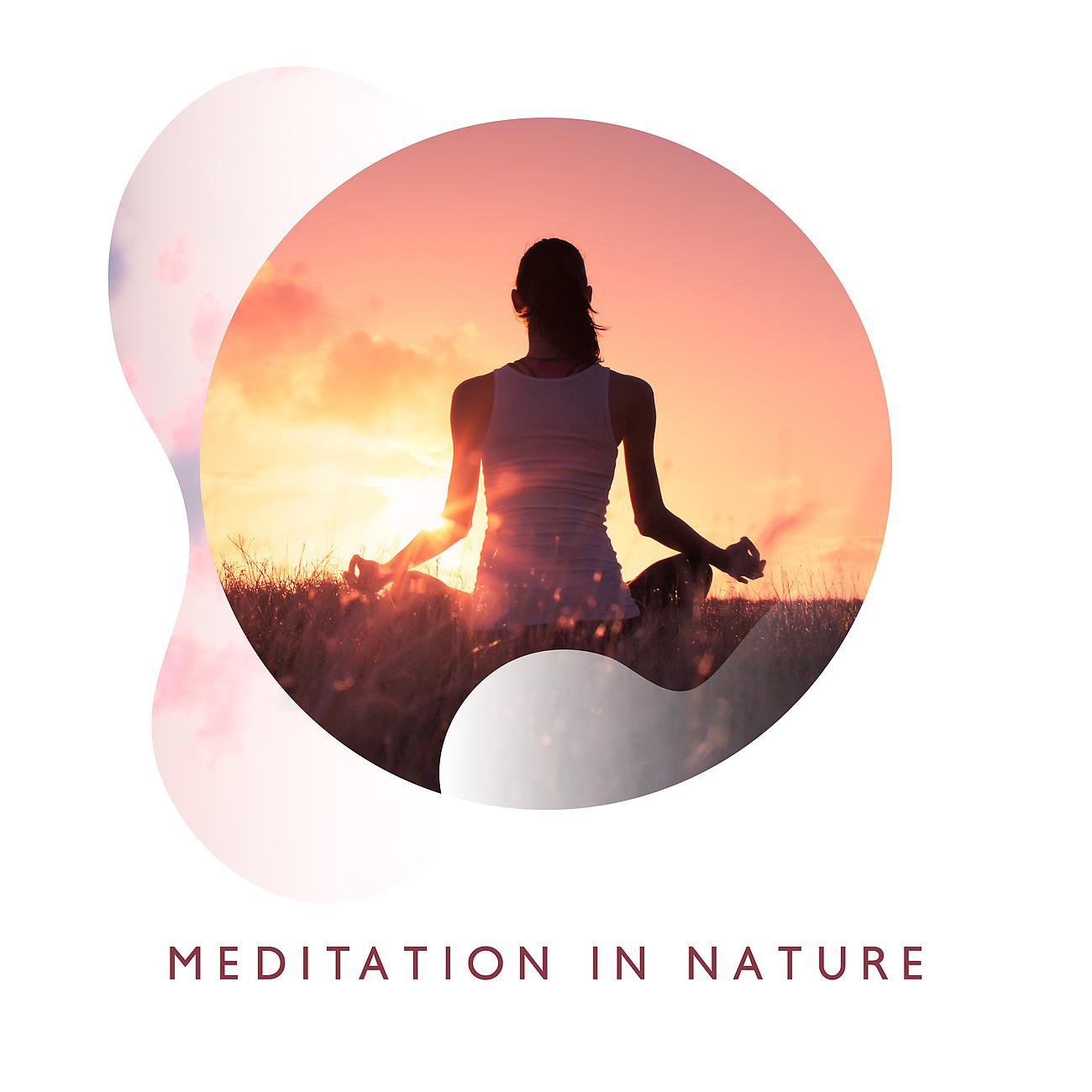 Постер альбома Meditation in Nature