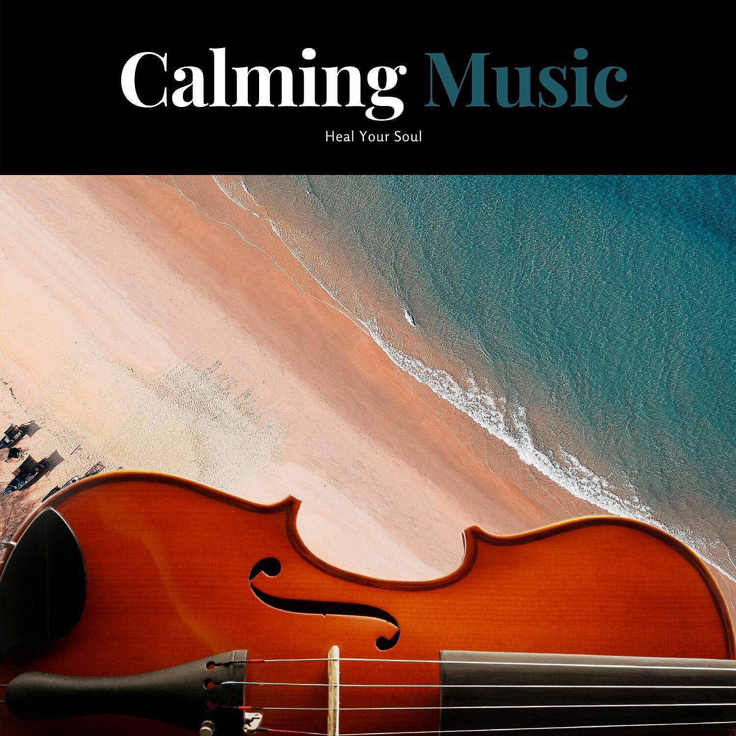 Постер альбома Calming Music to Heal Your Soul