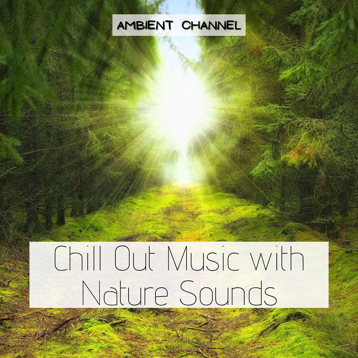 Постер альбома Chill Out Music with Nature Sounds