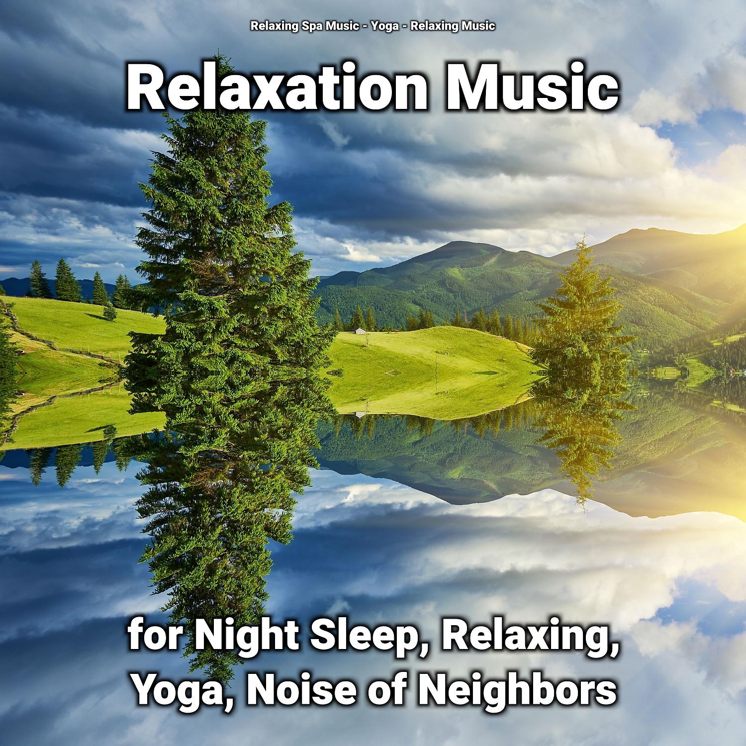 Постер альбома Relaxation Music for Night Sleep, Relaxing, Yoga, Noise of Neighbors