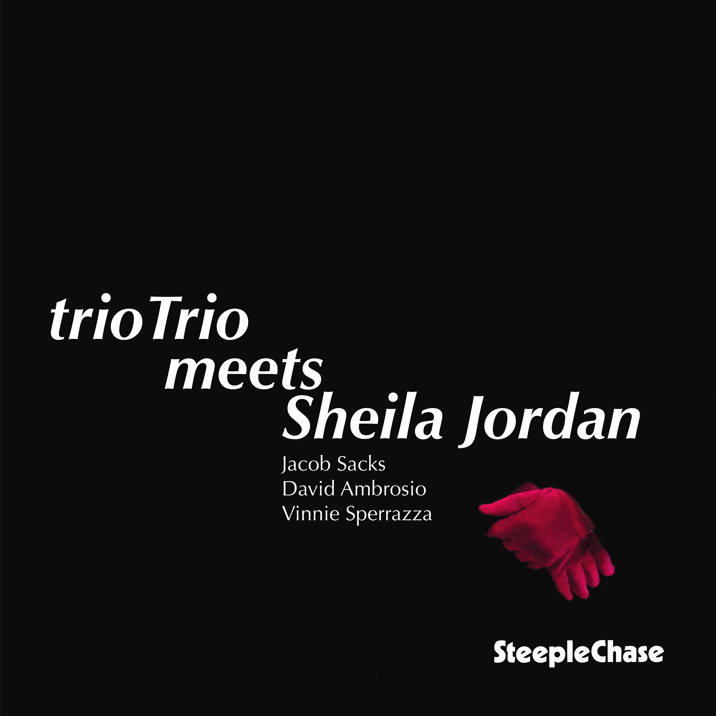 Постер альбома Triotrio Meets Sheila Jordan
