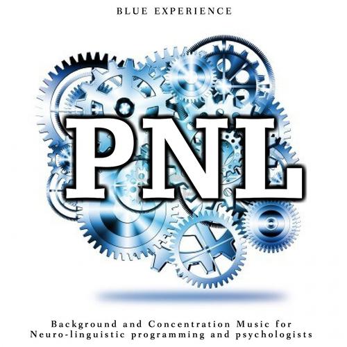 Постер альбома Pnl: Blue Experience