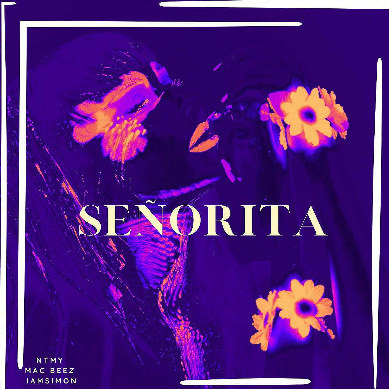 Постер альбома Señorita - Remix
