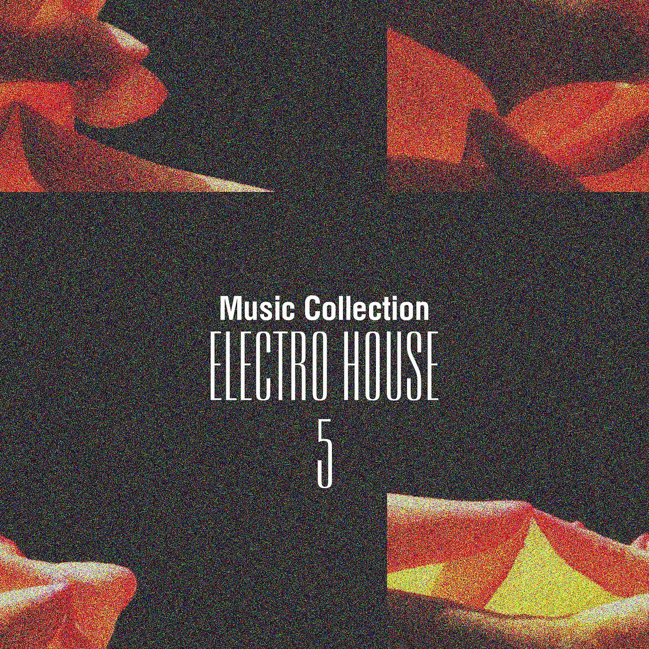 Постер альбома Music Collection. Electro House, Vol. 5