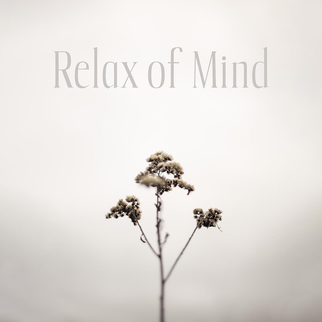 Постер альбома Relax of Mind