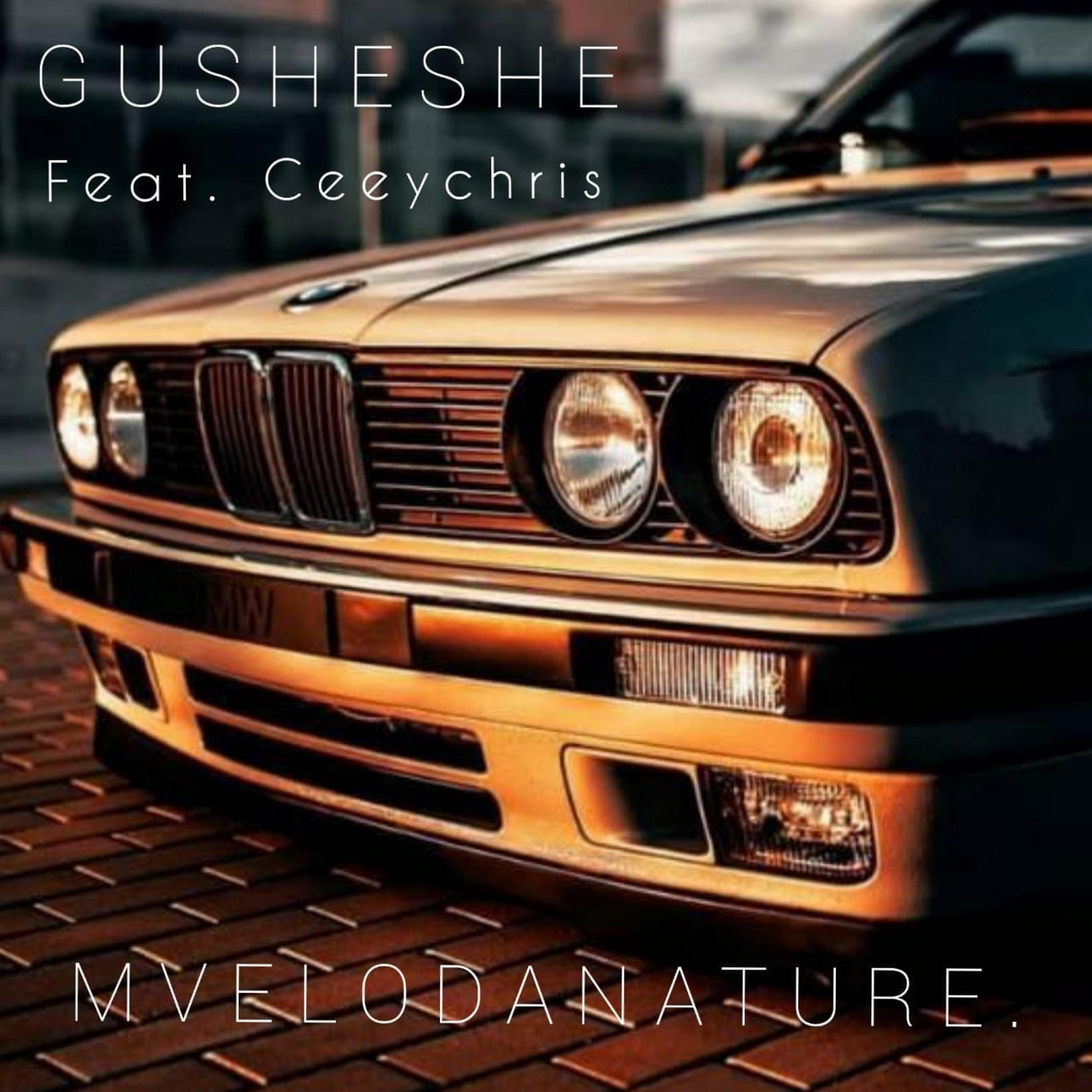 Постер альбома Gusheshe