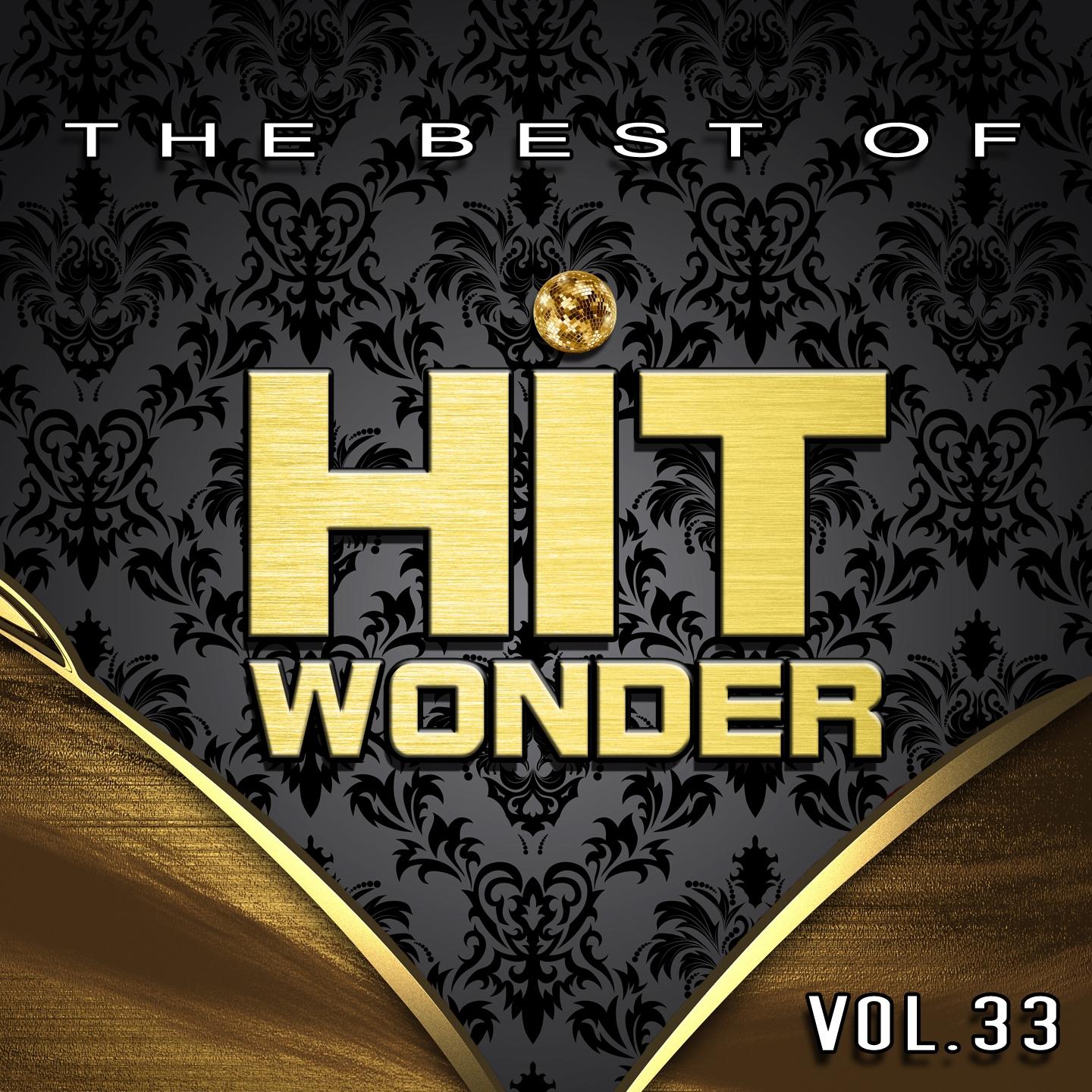 Постер альбома Hit Wonder: The Best Of, Vol. 33