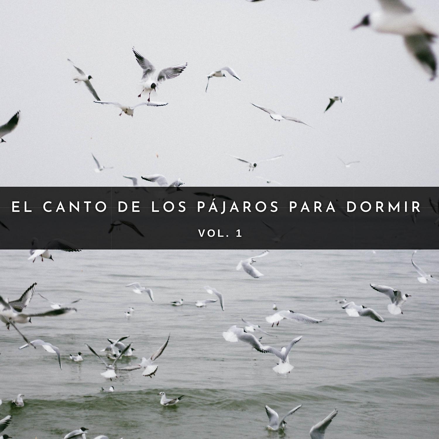 Постер альбома El Canto De Los Pájaros Para Dormir Vol. 1