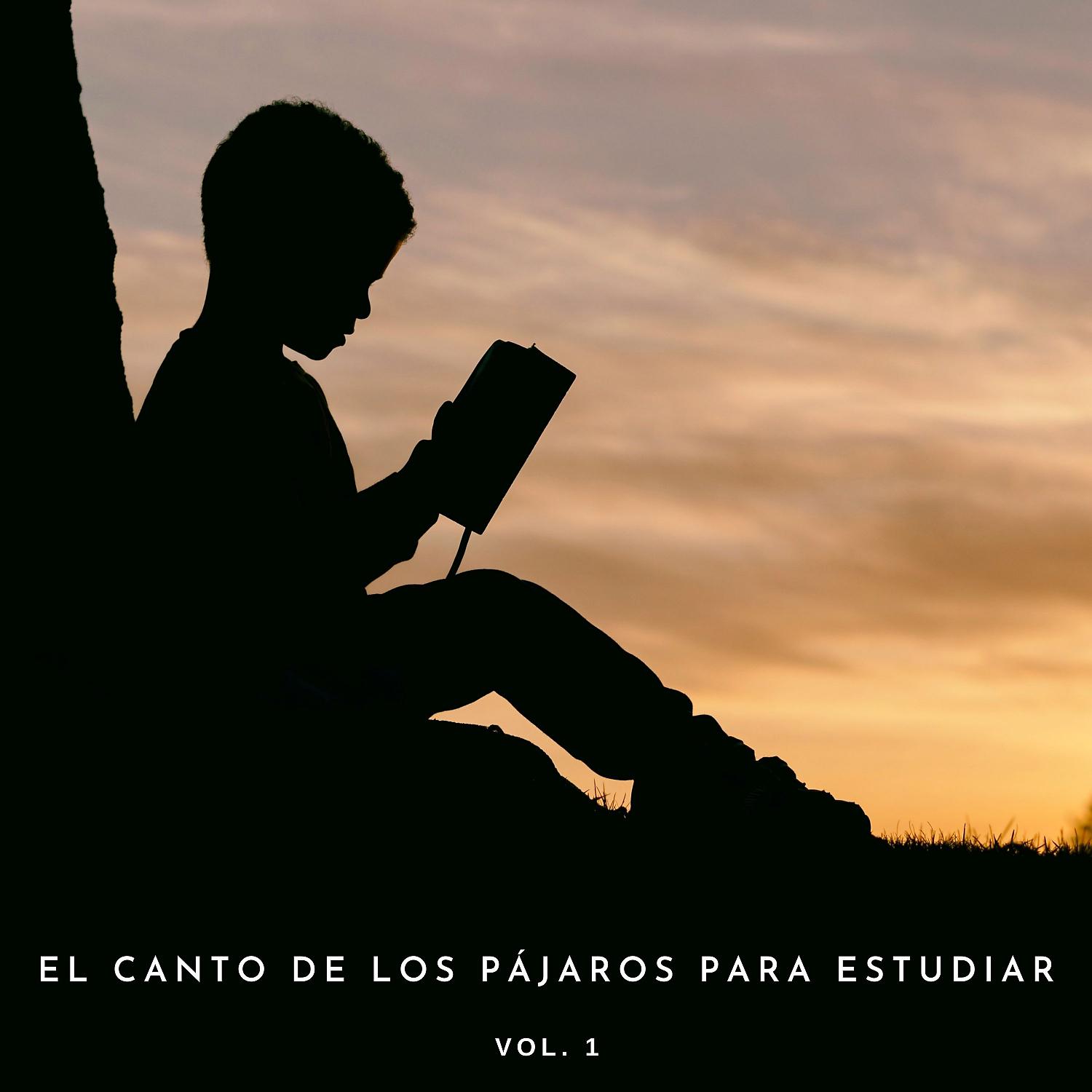 Постер альбома El Canto De Los Pájaros Para Estudiar Vol. 1