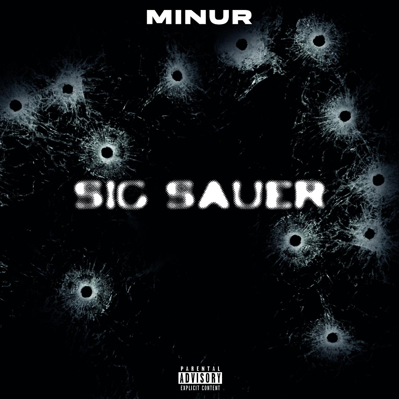 Постер альбома Sig Sauer