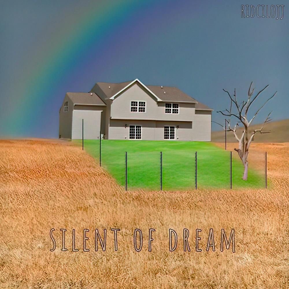 Постер альбома Silent of Dream