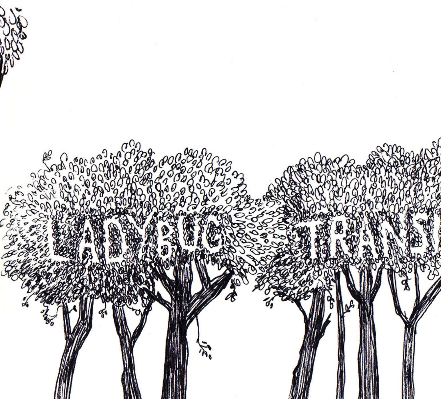 The Ladybug Transistor - Everybody's Missing the Sun