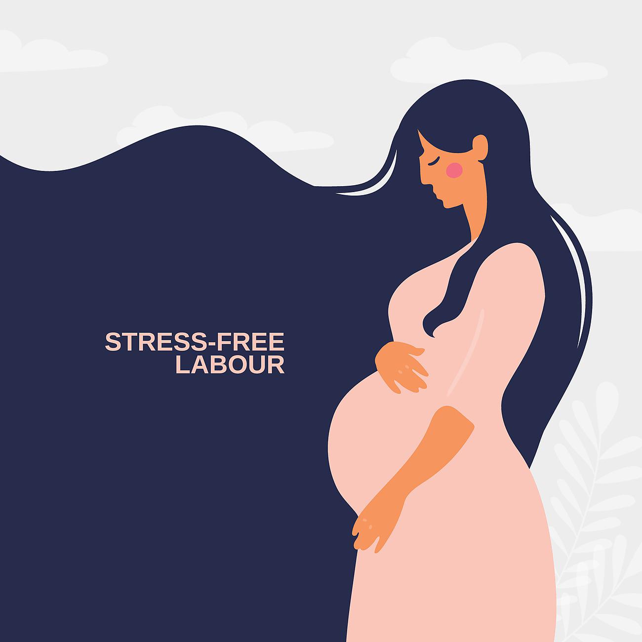 Постер альбома Stress-Free Labour