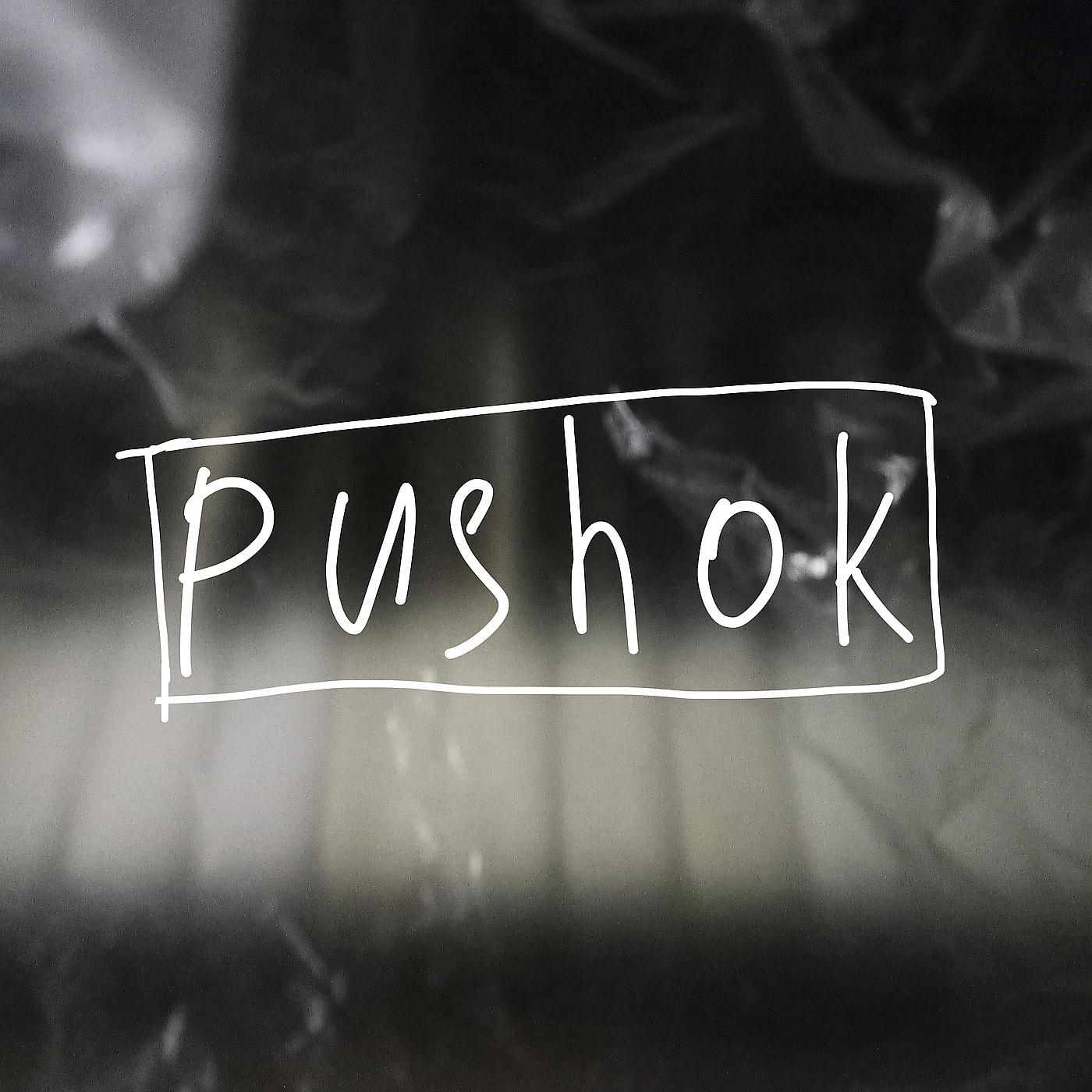 Постер альбома Pushok