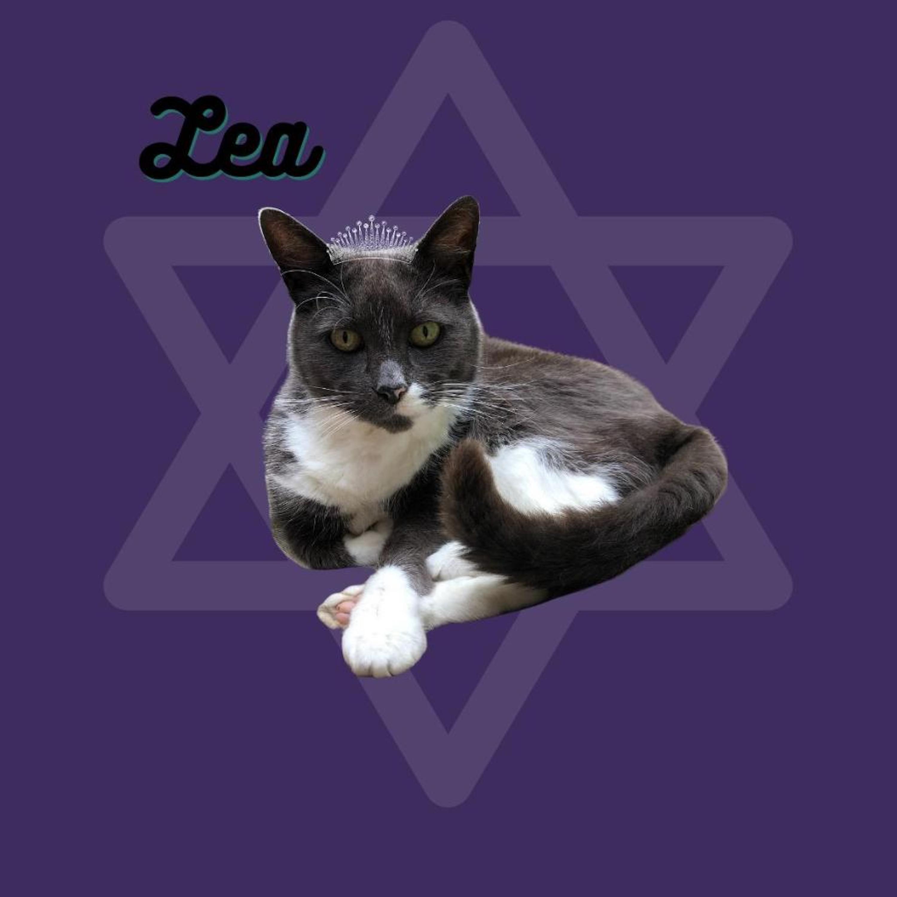 Terror Lokz - Lea