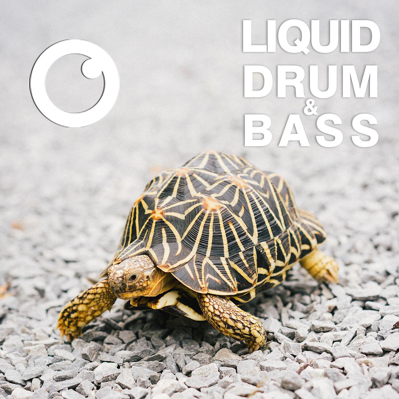 Постер альбома Liquid Drum & Bass Sessions #53
