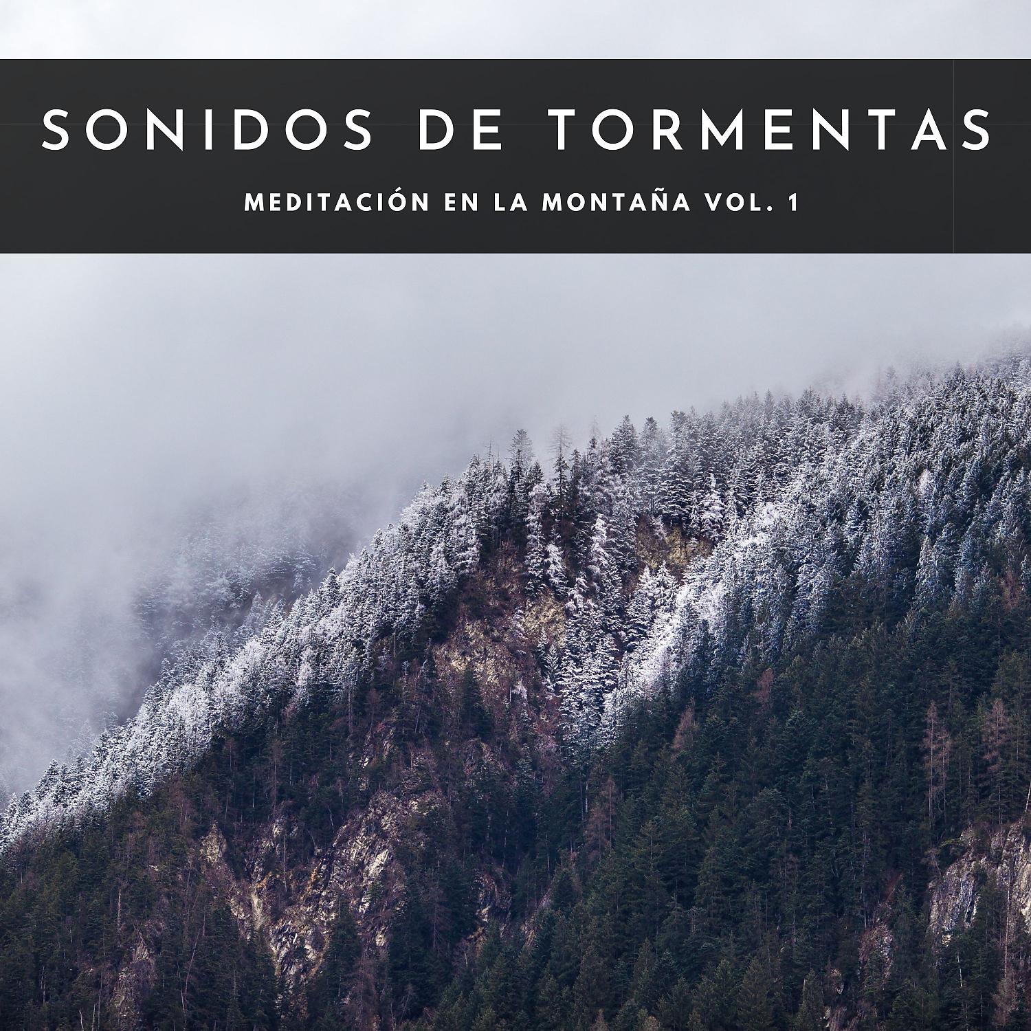 Постер альбома Sonidos De Tormentas: Meditación En La Montaña Vol. 1