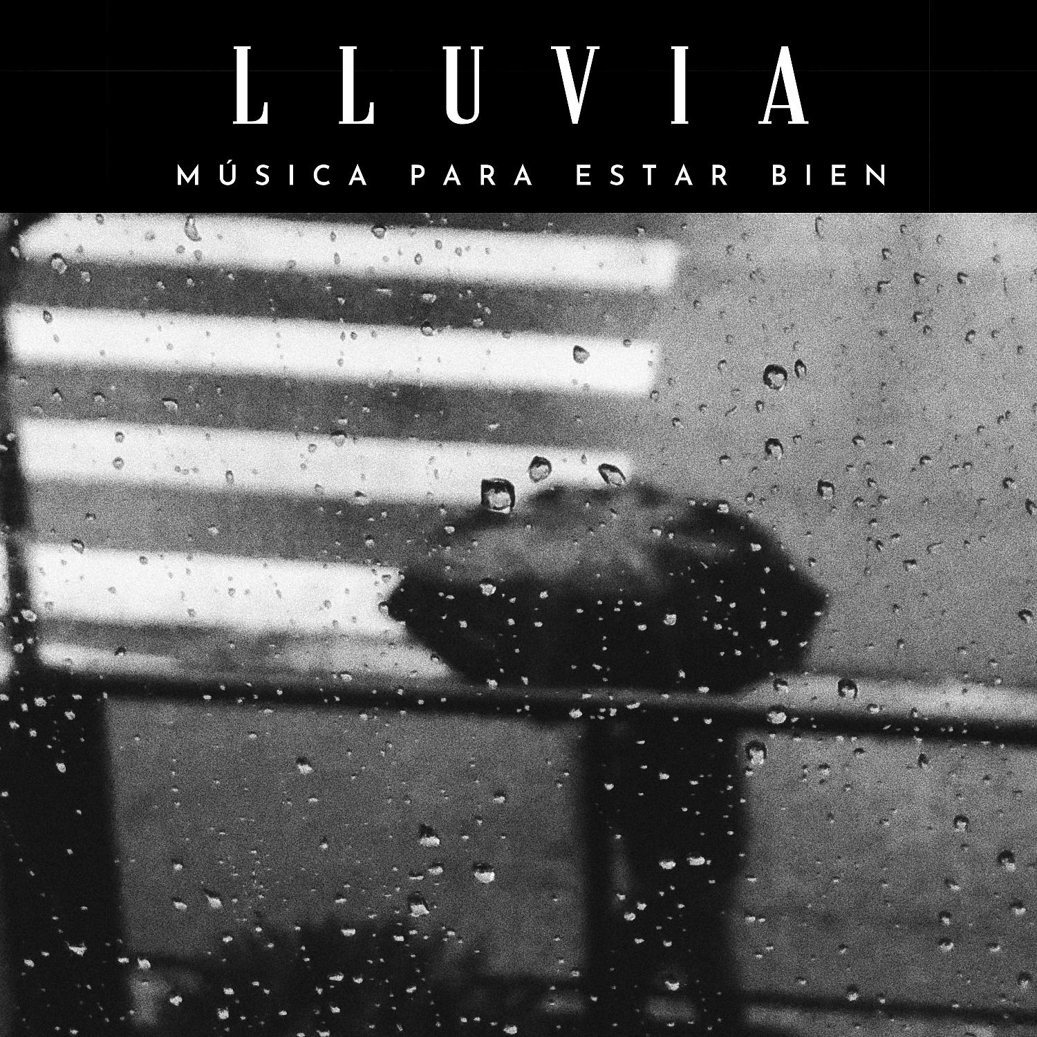 Постер альбома Lluvia: Música Para Estar Bien